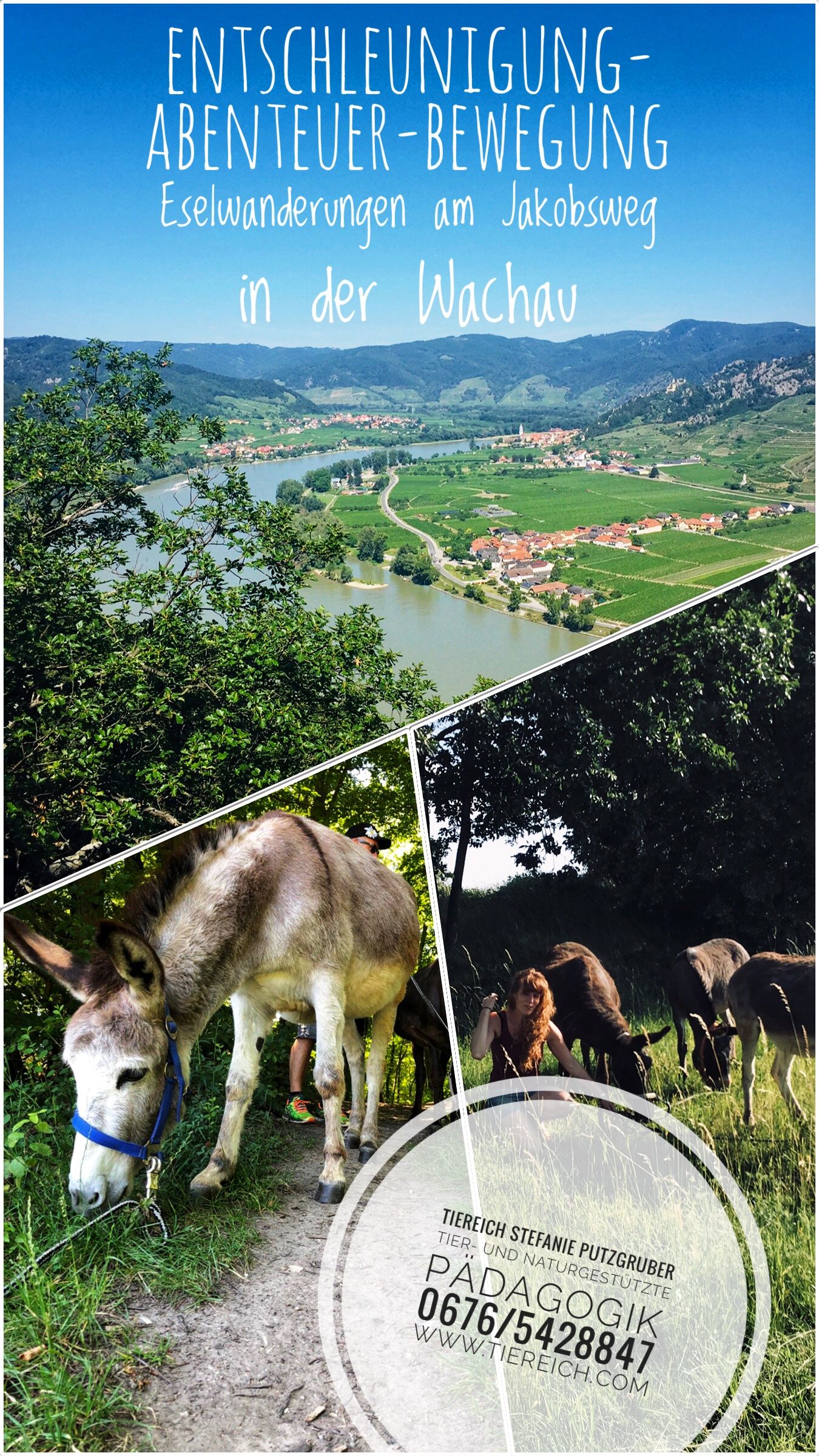 Flyer donkey hike