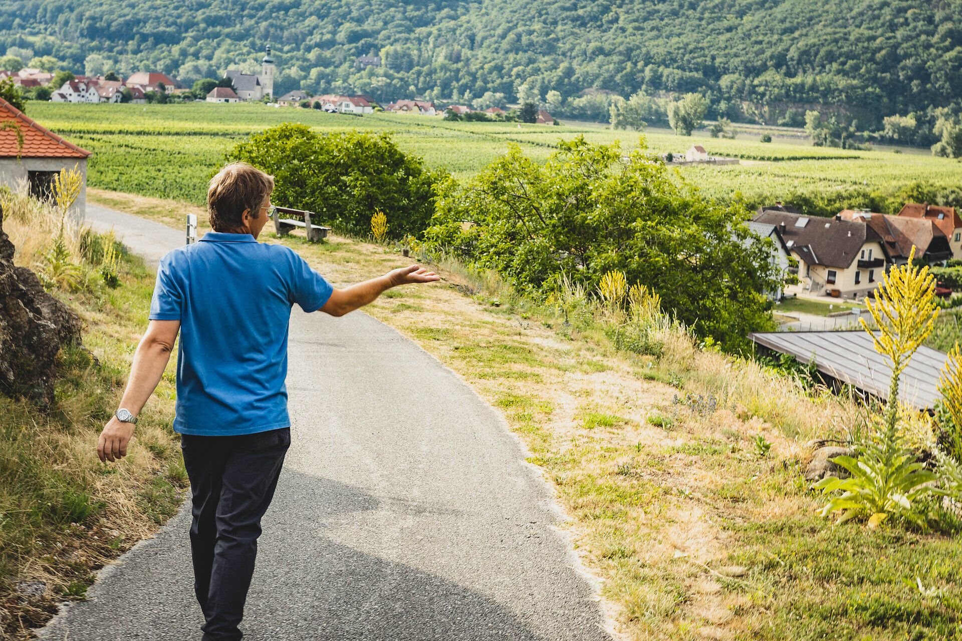 Ein Wanderer genießt die atemberaubende Aussicht auf die sanften Hügel und Weinberge, die sich in der Ferne erstrecken. Die frische Luft und die sanften Sonnenstrahlen schaffen eine einladende Atmosphäre, die zum Verweilen einlädt. Hier in der Wachau wird jeder Schritt zu einem unvergesslichen Erlebnis.