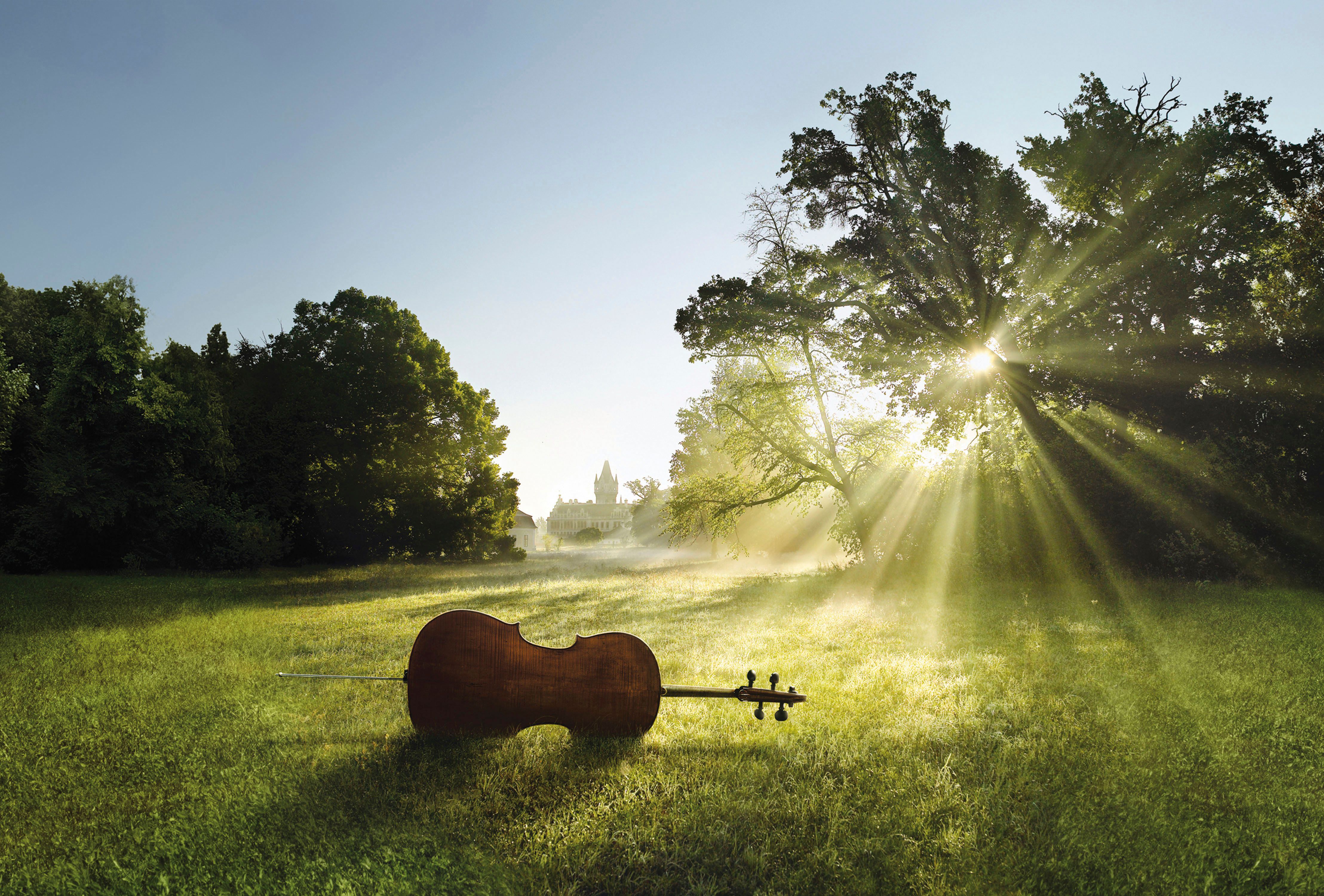 Ein Cello liegt auf einer Wiese im Sonnenlicht, im Hintergrund ist ein Schloss zu sehen.