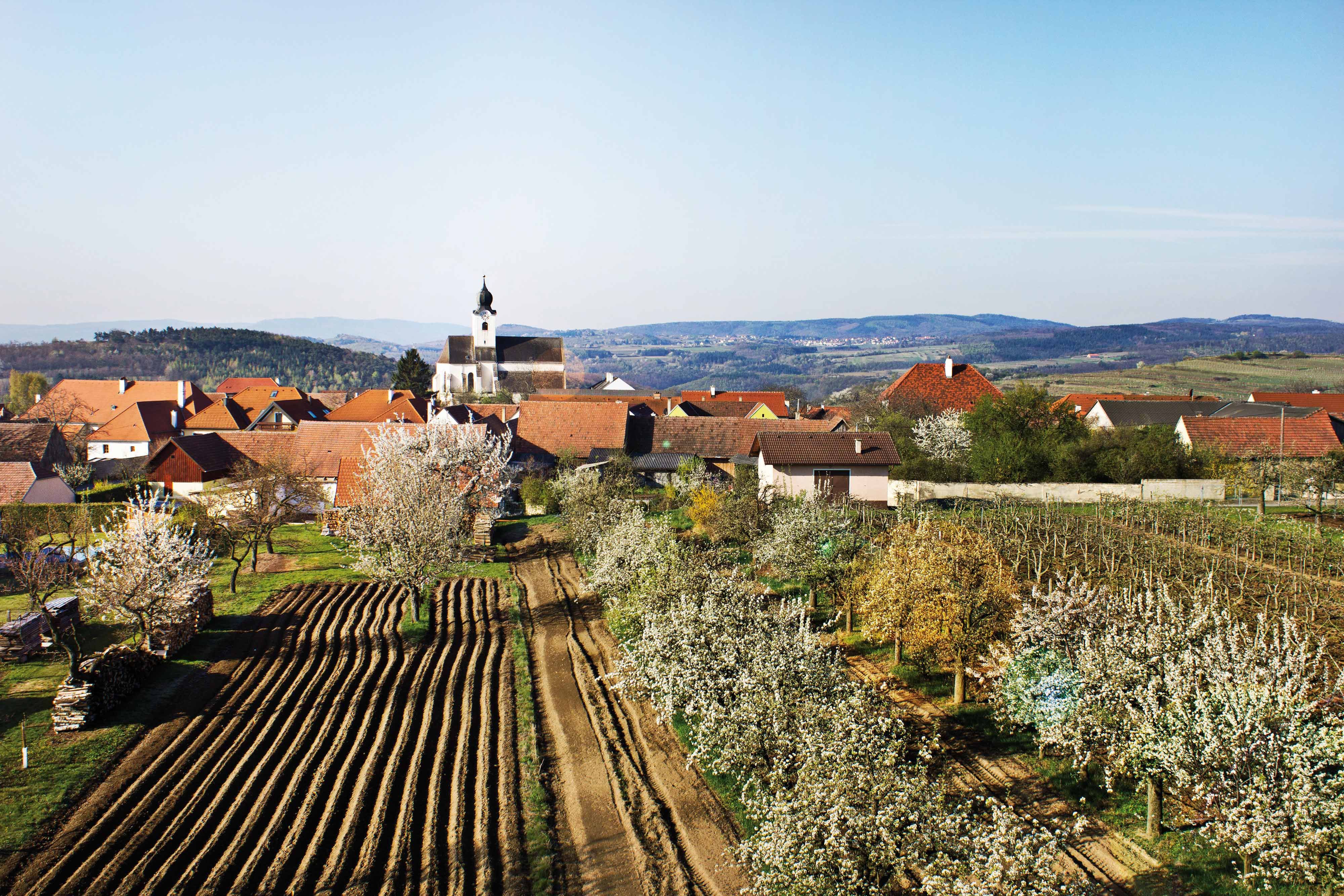 Ländliche Szene mit Kirche, blühenden Bäumen und Feldern in Stratzing.