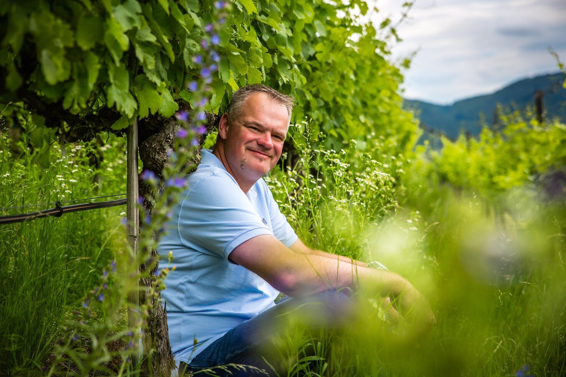 Inmitten der sanften Hügel und üppigen Weinreben strahlt die Sommeratmosphäre pure Lebensfreude aus. Die warmen Sonnenstrahlen kitzeln die Haut, während die blühenden Pflanzen eine harmonische Kulisse schaffen, die zum Verweilen einlädt.