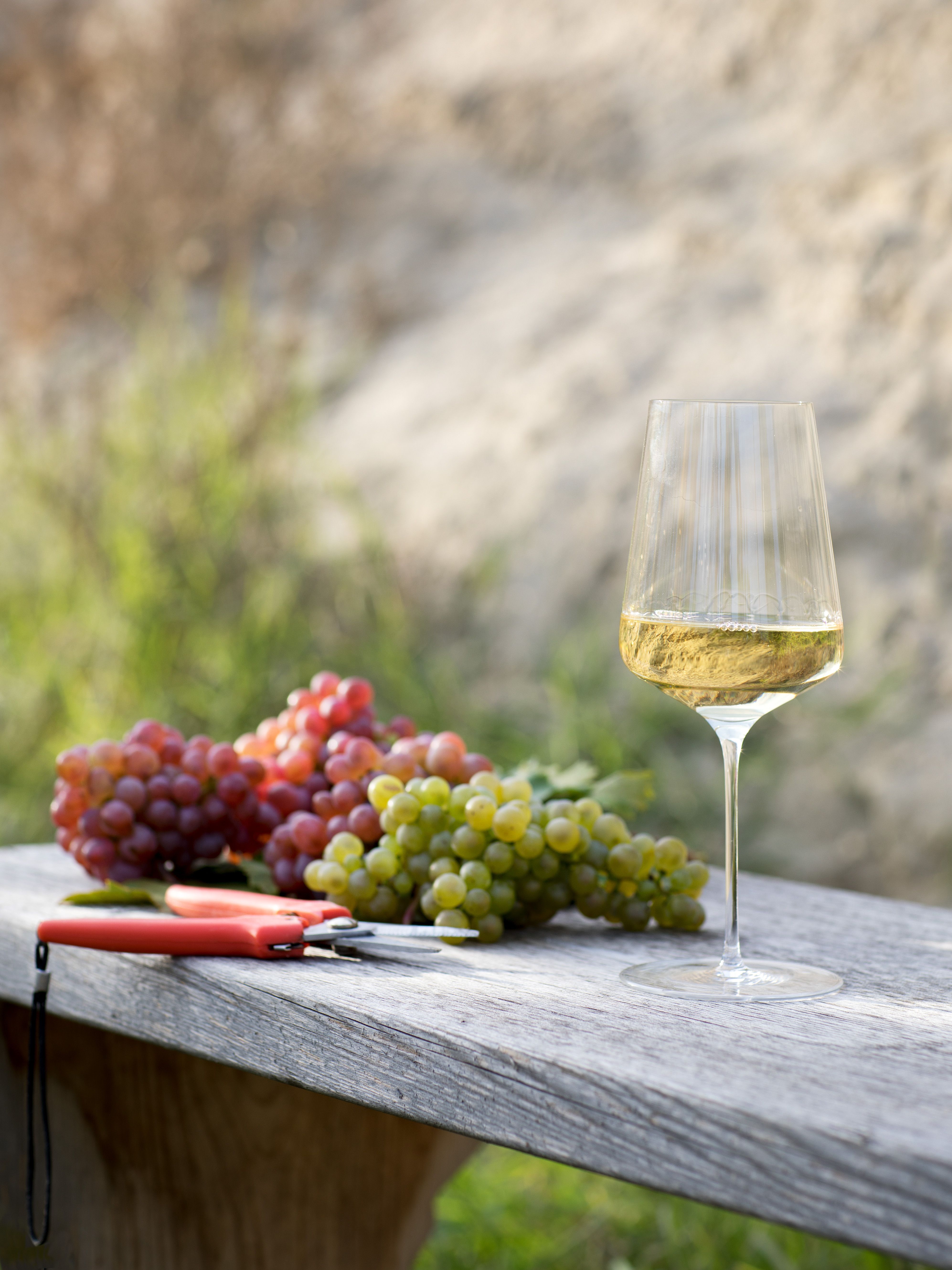 Weingartenschere, Weinglas, Weintraube