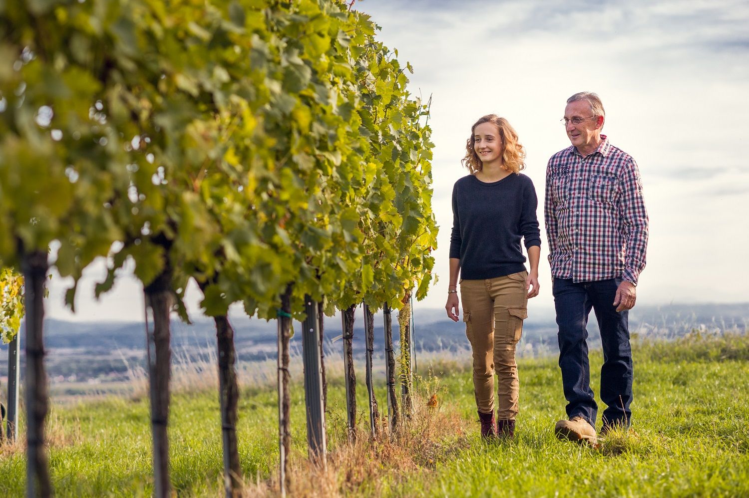 Zwei Personen gehen durch einen Weinberg bei sonnigem Wetter.