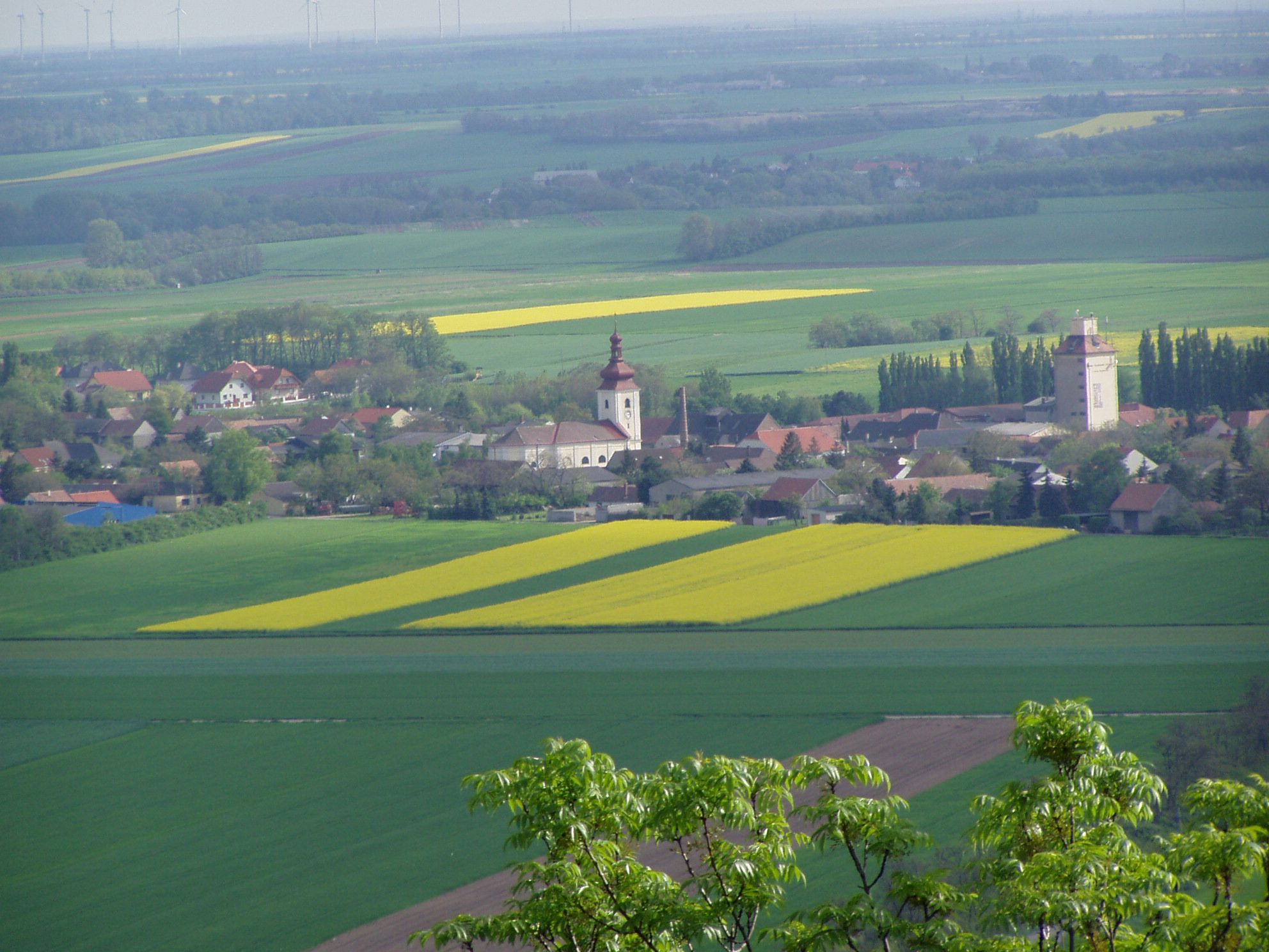 Landschaft mit Dorf, Kirche und Feldern in Prellenkirchen.