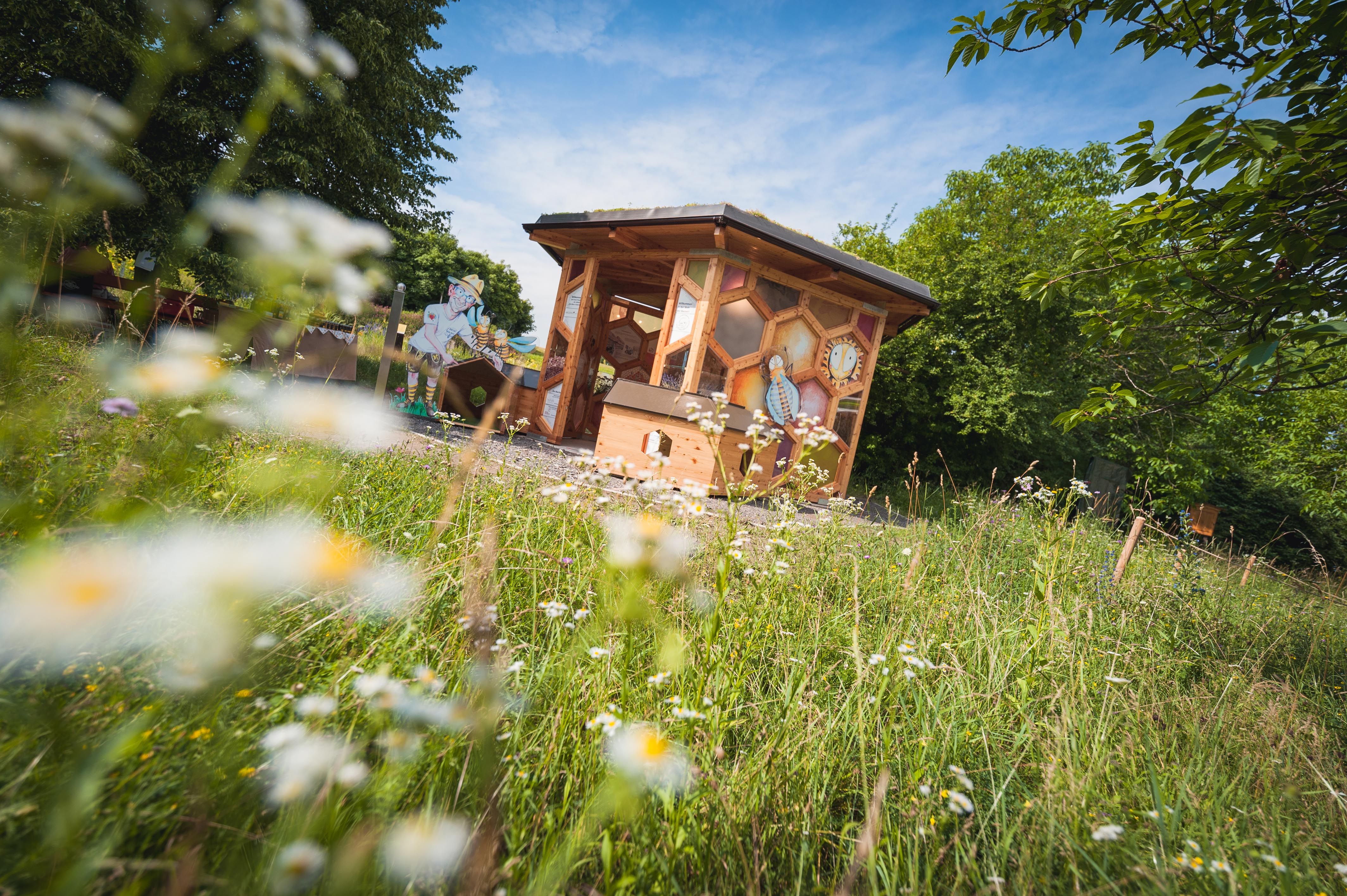 Ein hölzerner Bienenpavillon steht in einer blühenden Wiese, umgeben von Bäumen und einem blauen Himmel.