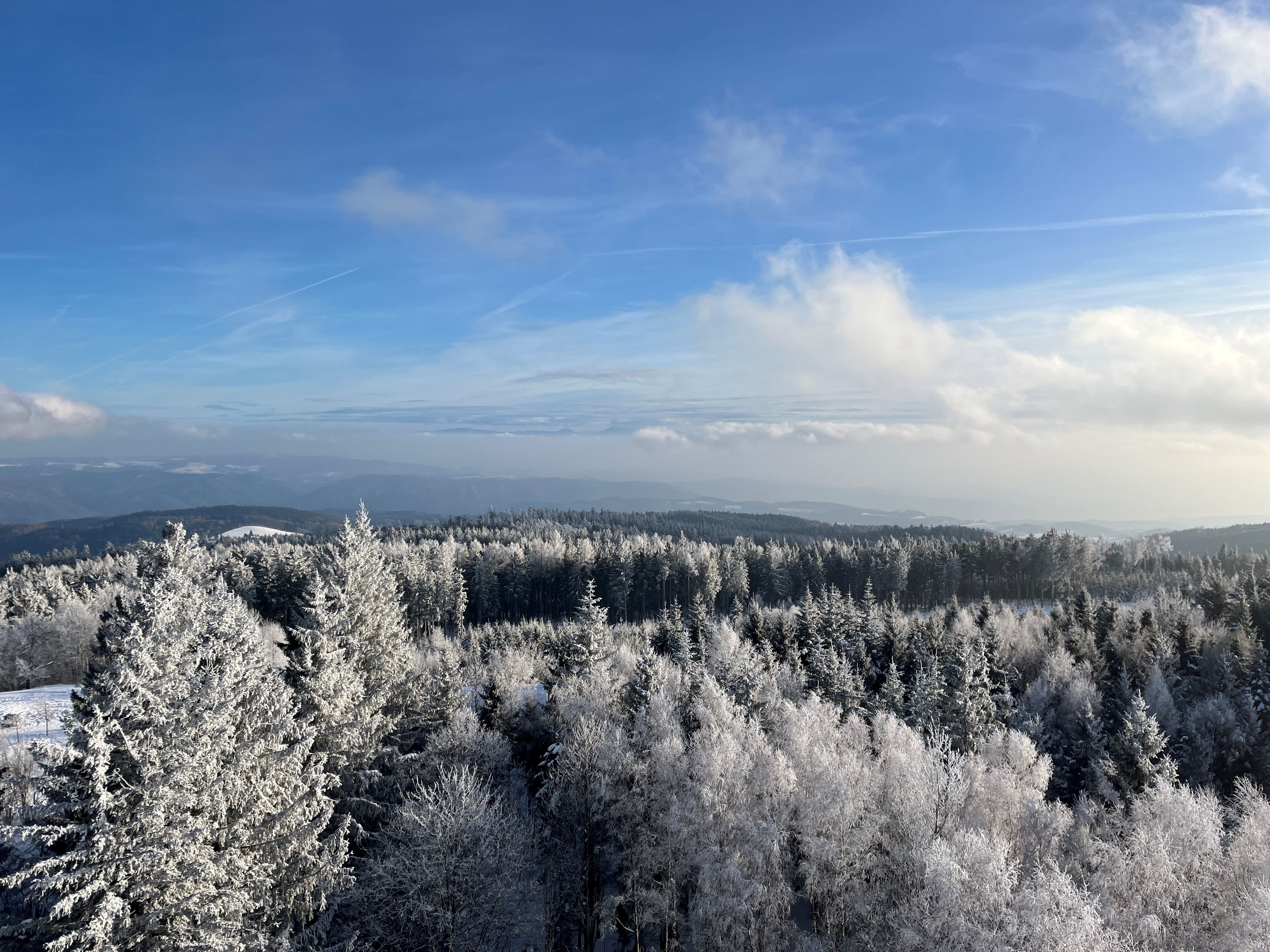 Jauerling_Winter_(c)Barbara_Elser (2)