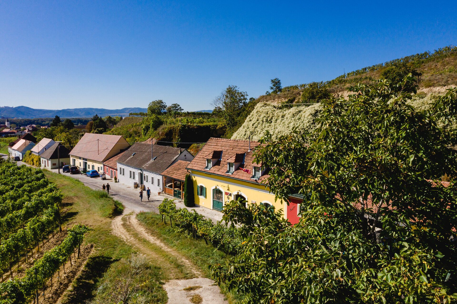 Die Rohrendorfer Kellergasse von oben betrachtet.