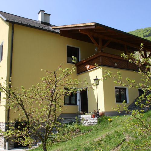 Gelbes Haus mit blühendem Baum