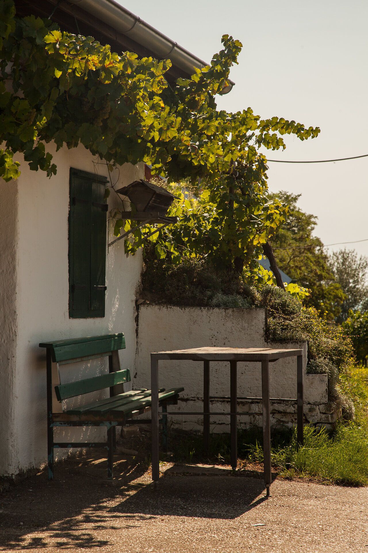 Weinherbst in Niederösterreich, Donau in Niederösterreich