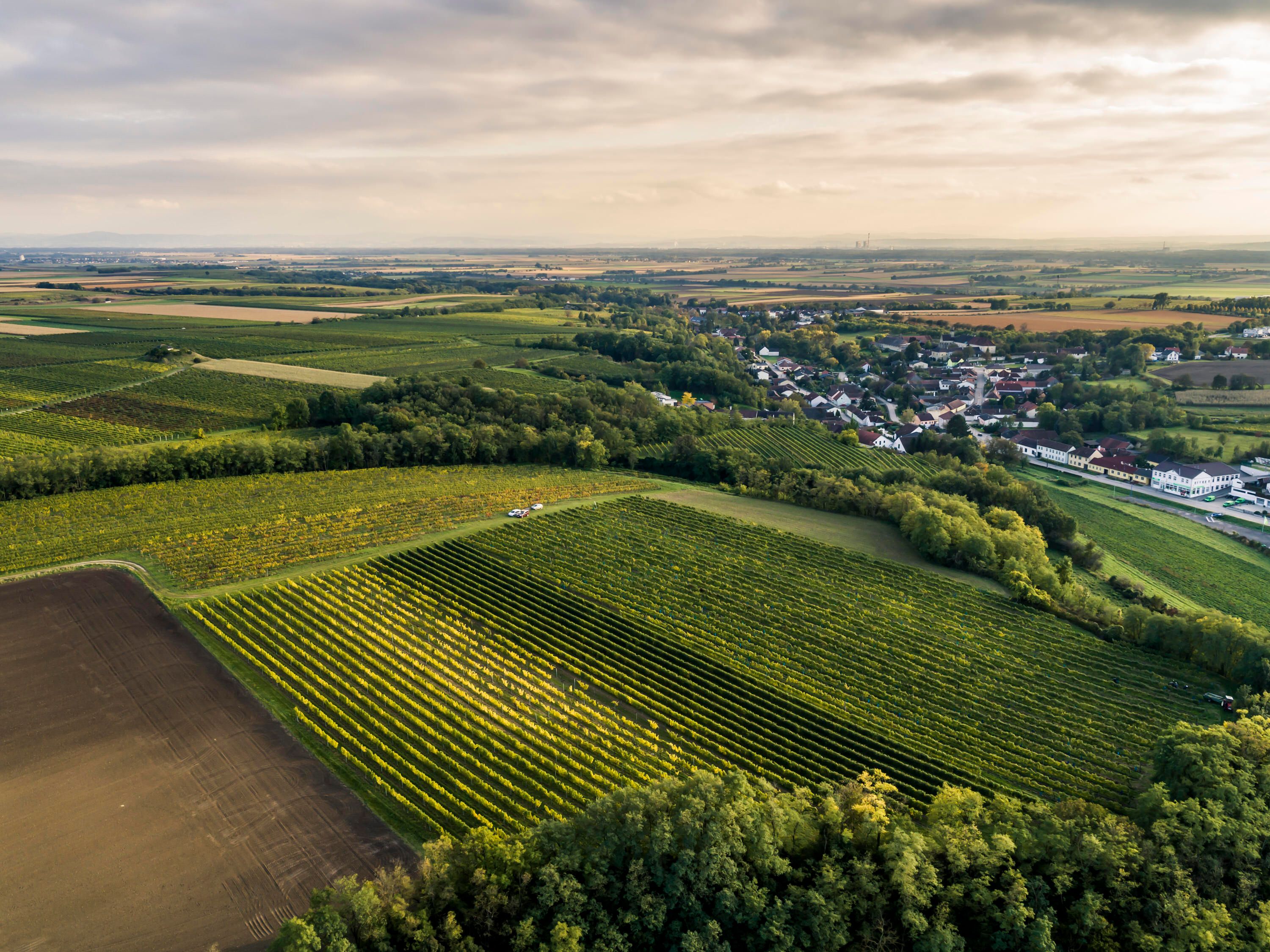 Oberstockstall - Schlossberg