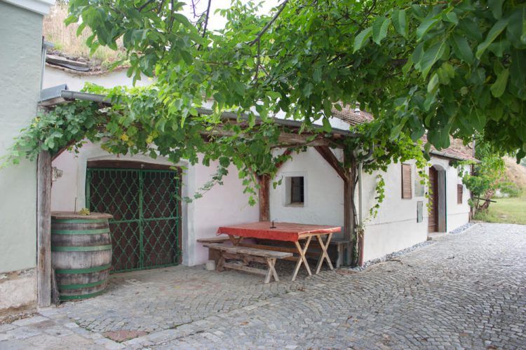 Ein traditioneller Weinkeller mit Holztisch und Weinfass, umgeben von grünen Blättern.