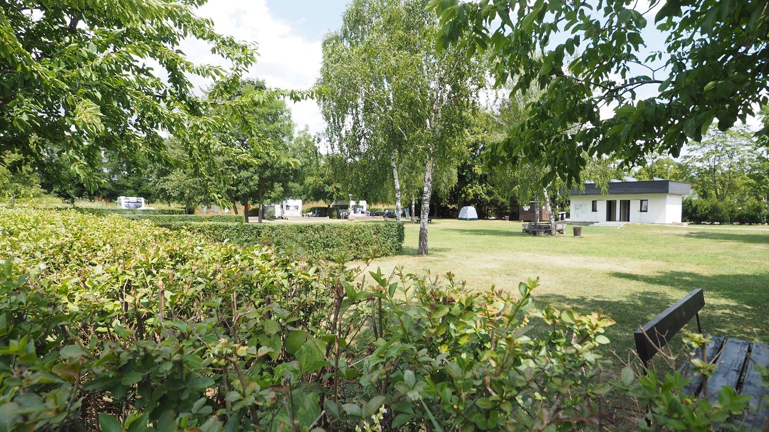 Stellplatz auf einer frisch gemähten Wiese. Abgegrenzt durch eine Hecke.