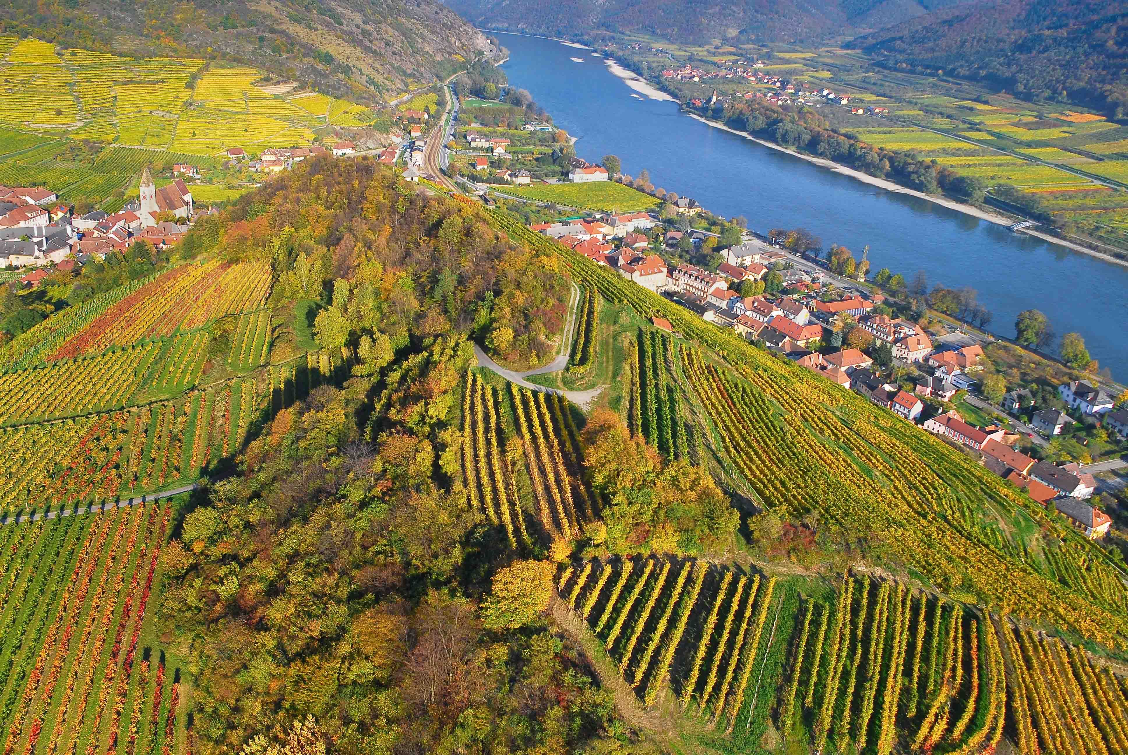 Tausendeimerberg Spitz 