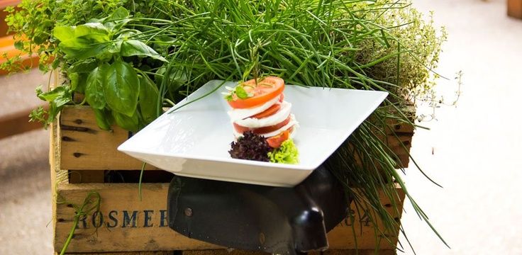 Ein Teller mit Tomaten-Mozzarella-Salat auf einer Holzkiste mit frischen Kräutern.