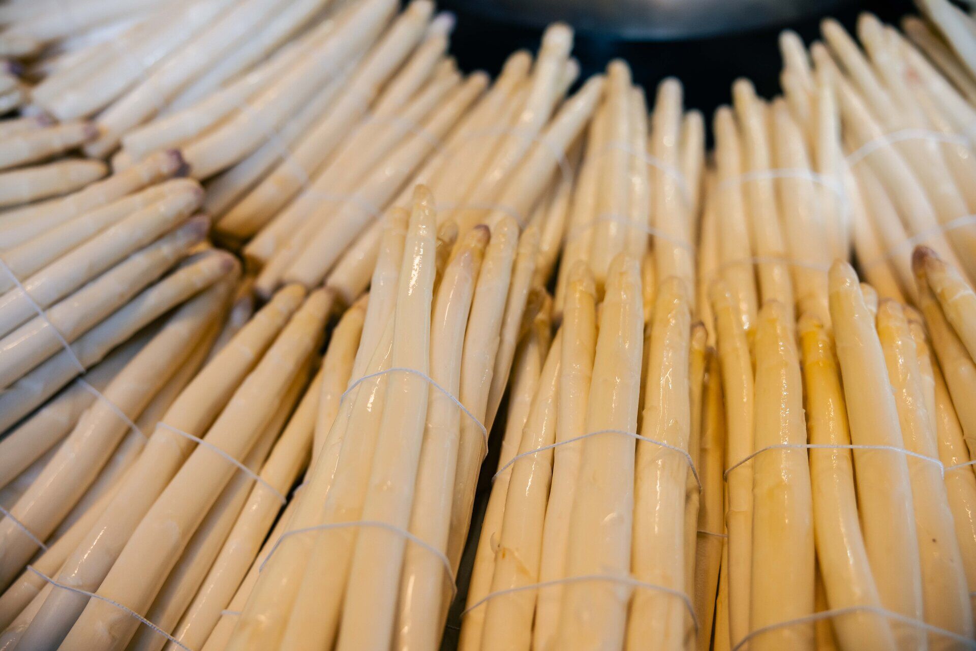 Mehrere Bündel von weißem Spargel in Nahaufnahme.