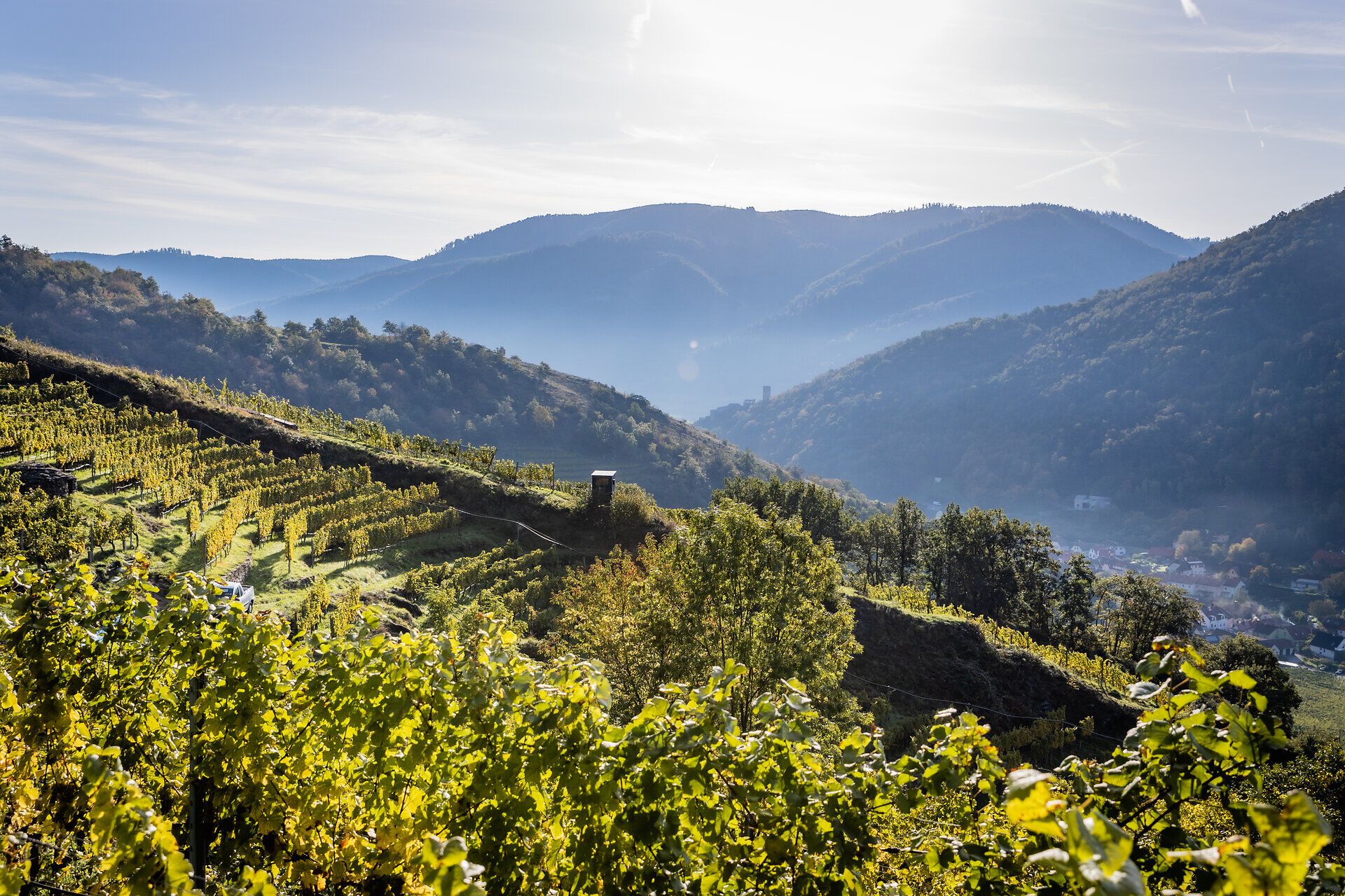 wnk_vinea wachau_ ©Pamela Schmatz(23)