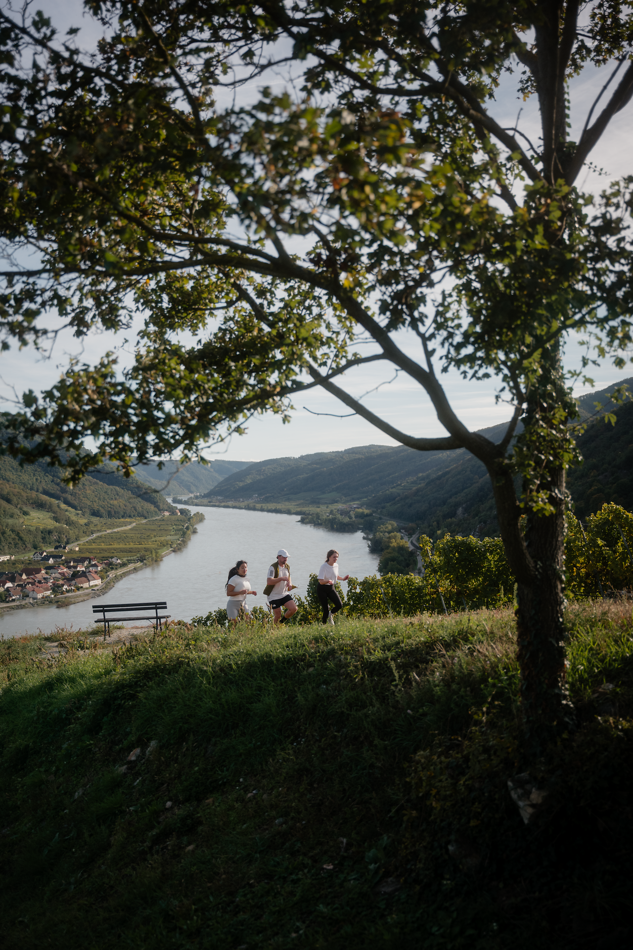 Drei Personen unterwegs in der Wachauer Natur