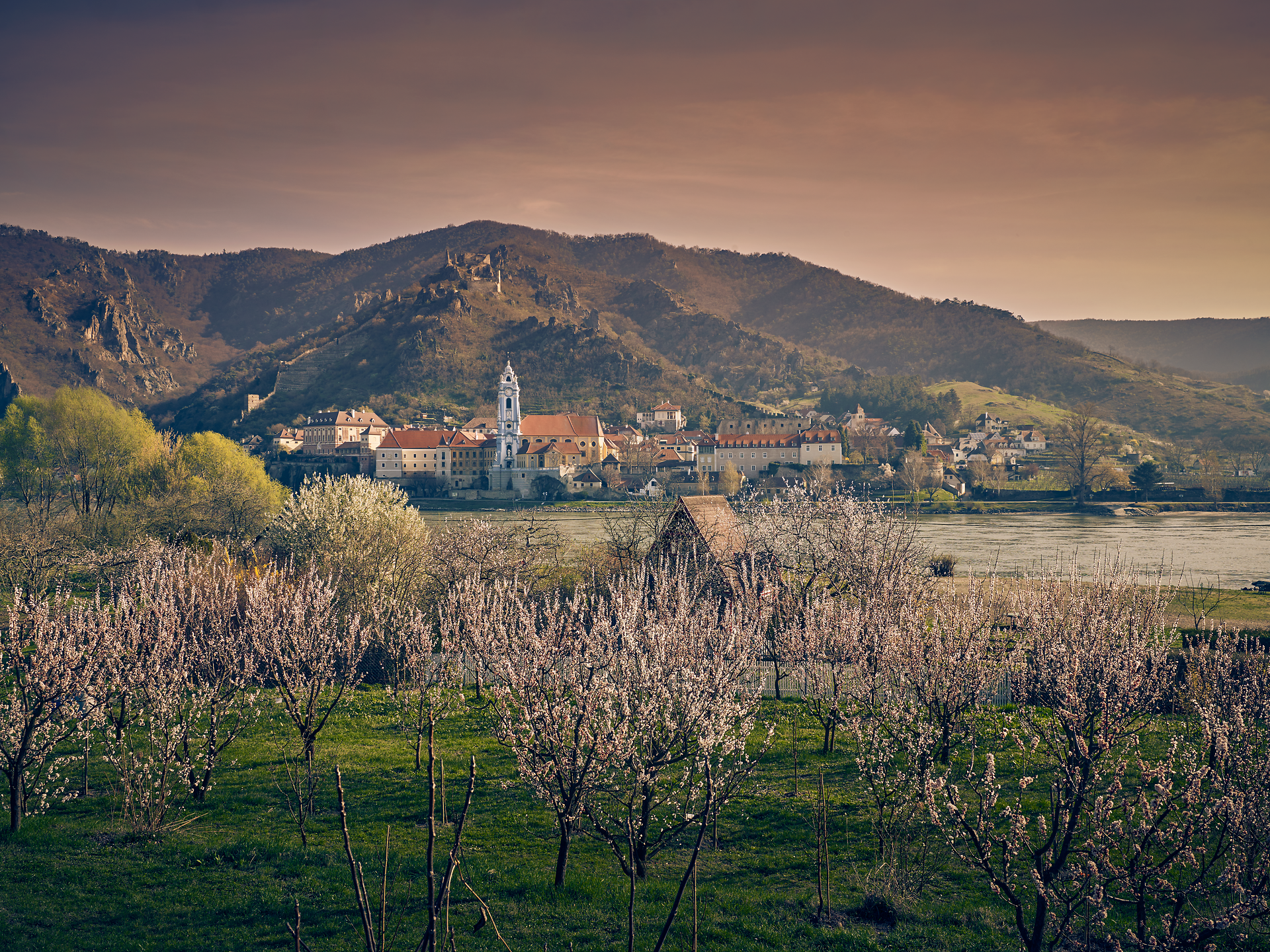 Im Frühling erblühen die Obstbäume in zarten Rosa- und Weißtönen und verleihen der Landschaft eine romantische Atmosphäre. Die sanften Hügel im Hintergrund und die ruhige Donau schaffen eine malerische Kulisse, die zum Verweilen einlädt. Hier, wo die Natur in voller Pracht erblüht, wird jeder Spaziergang zum unvergesslichen Erlebnis.