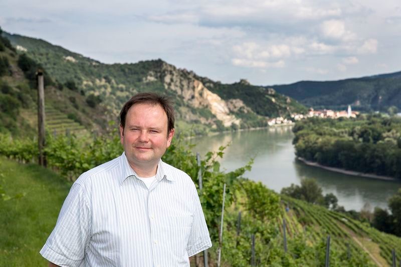 Mann steht in einem Weinberg mit Fluss und Hügeln im Hintergrund.