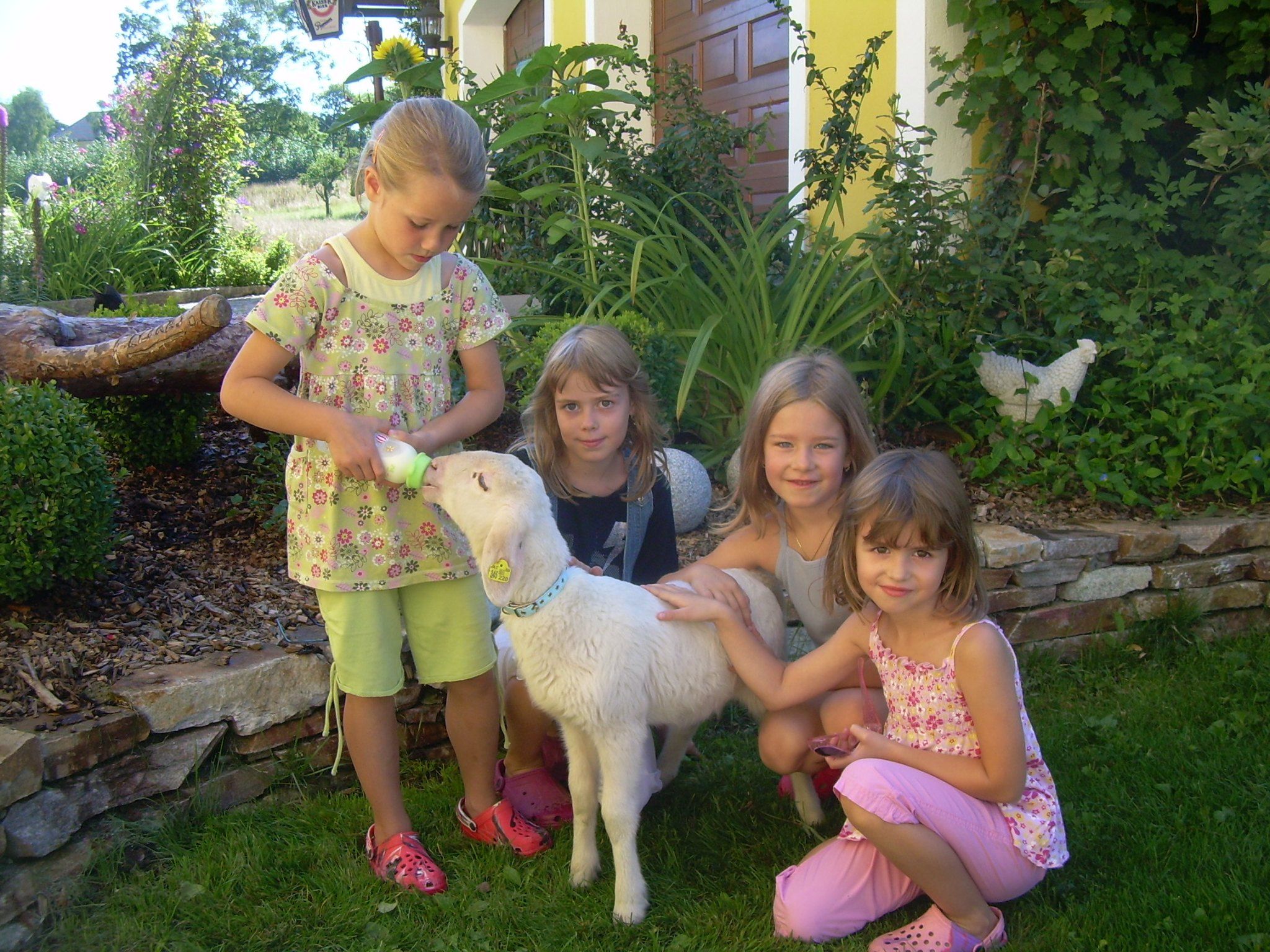 Vier Kinder im Garten mit einer Ziege, die aus einer Flasche trinkt.