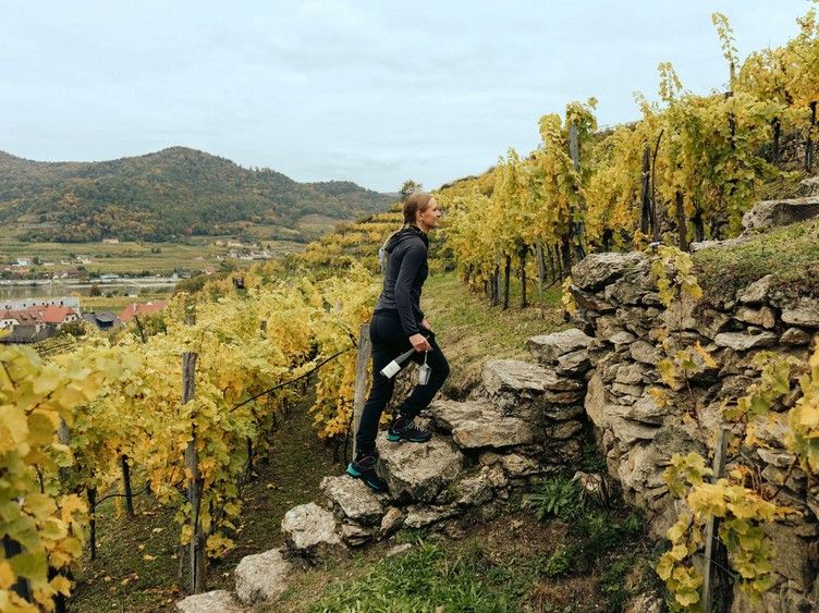 Domäne Wachau