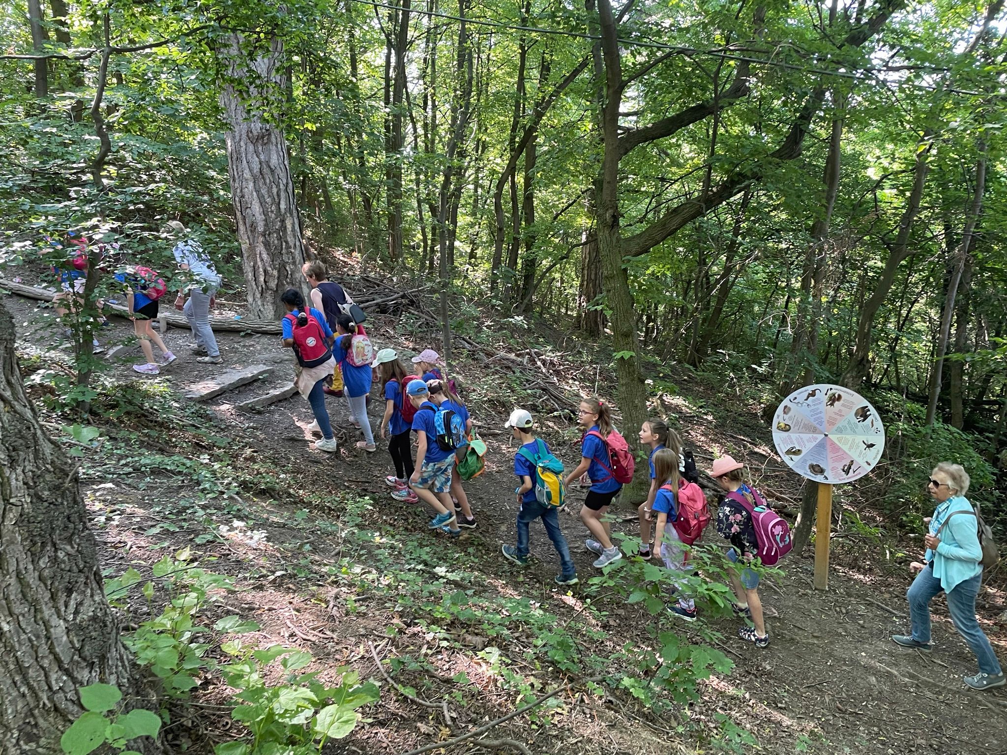 Naturpark im Wald - Josefspark 3
