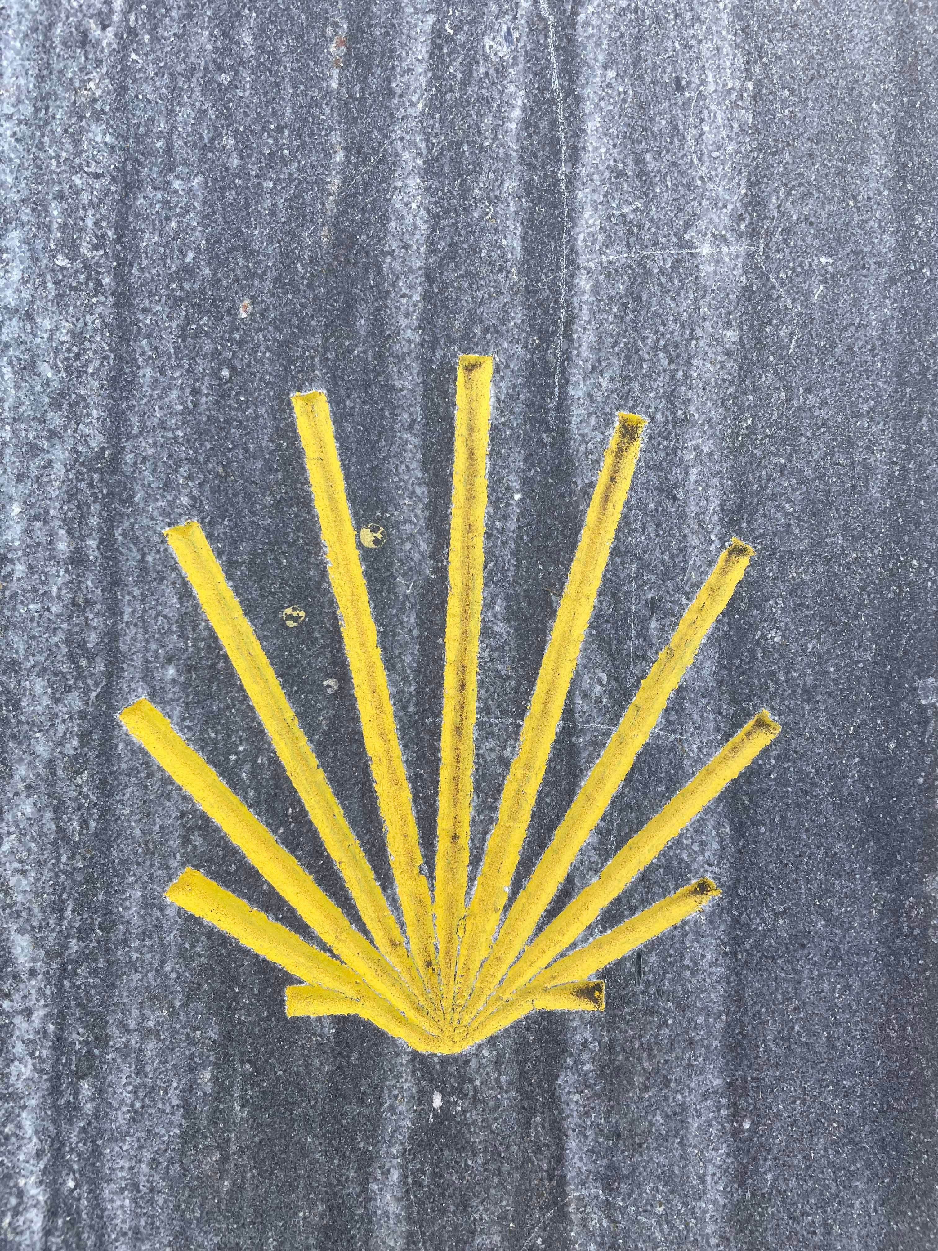 Way of St. James shell 