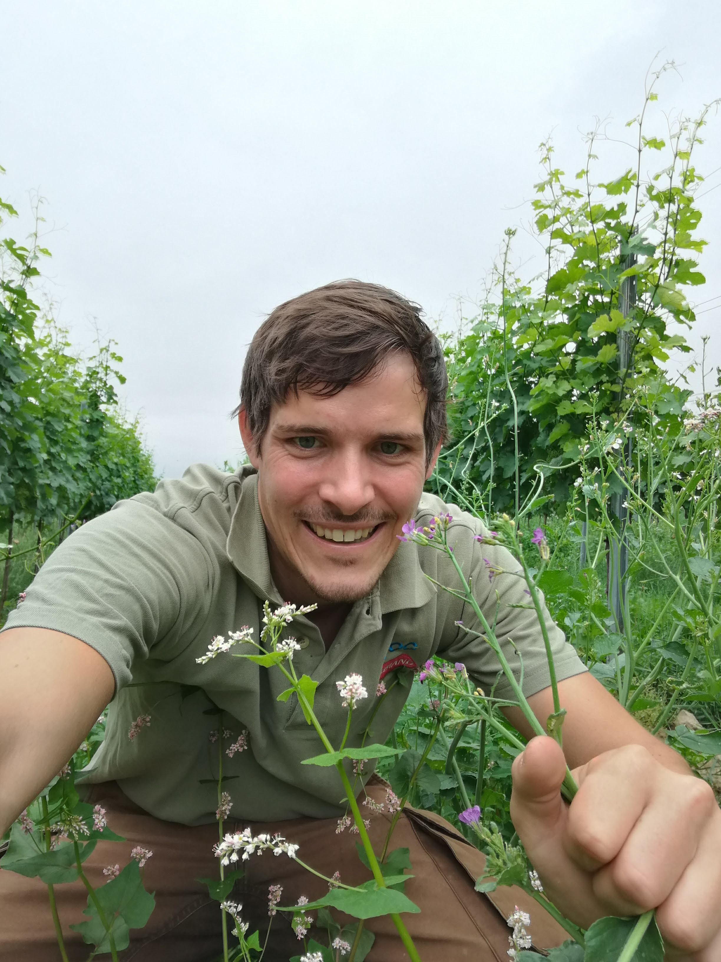 TDR winemaker Altmann in the vineyard 