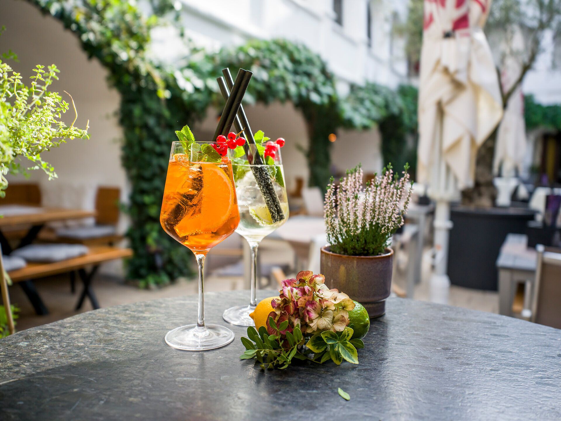 Speisen und Getränke serviert im Maximahl in Ybbs im Nibelungengau