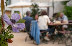 Leute beim Heurigen sitzen im Innenhof