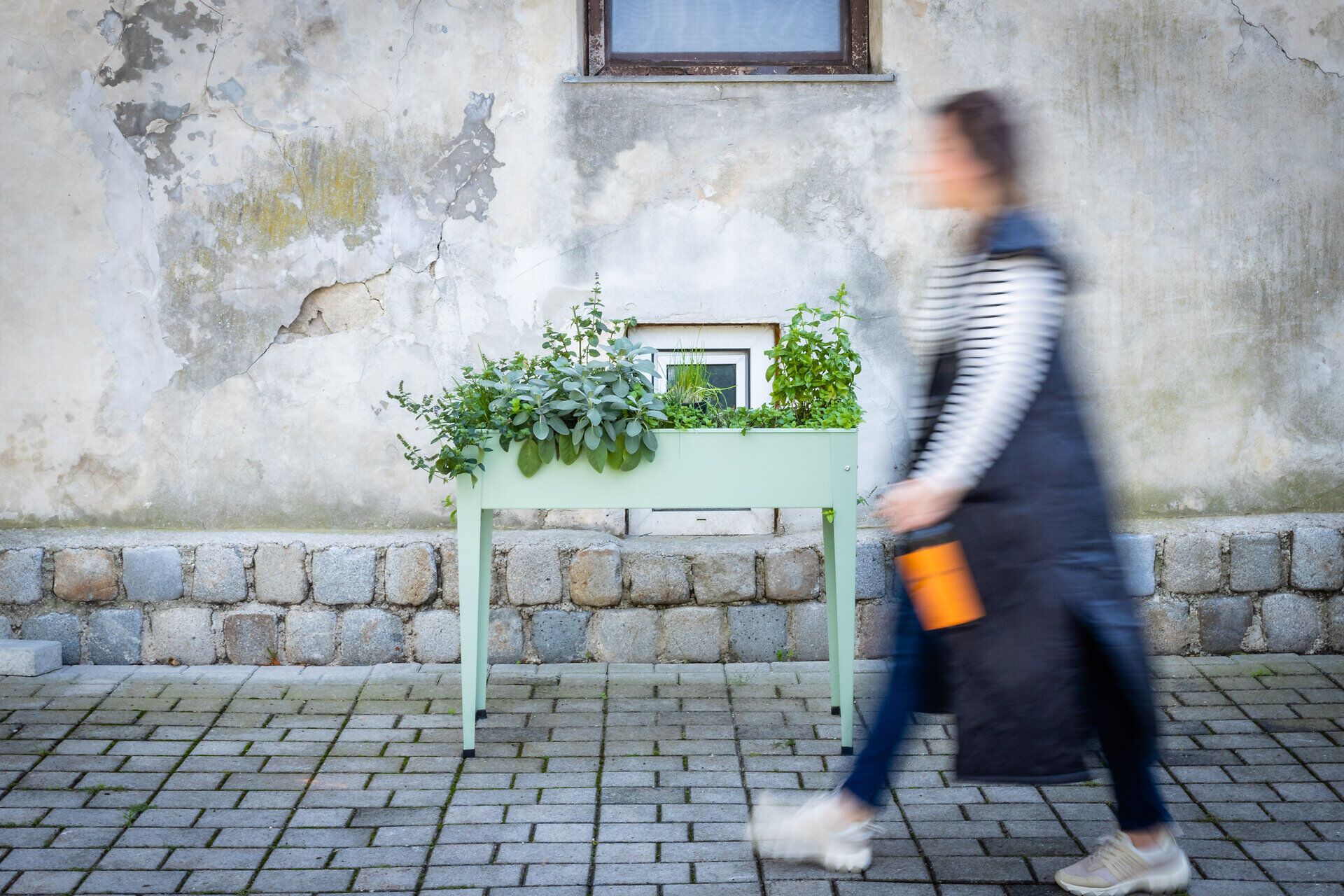 Ein sanfter Wind weht durch die grünen Pflanzen, die auf einem stilvollen Tisch gedeihen. Eine Person schlendert vorbei und genießt die frische Luft und die entspannende Atmosphäre, die diesen Ort umgibt.