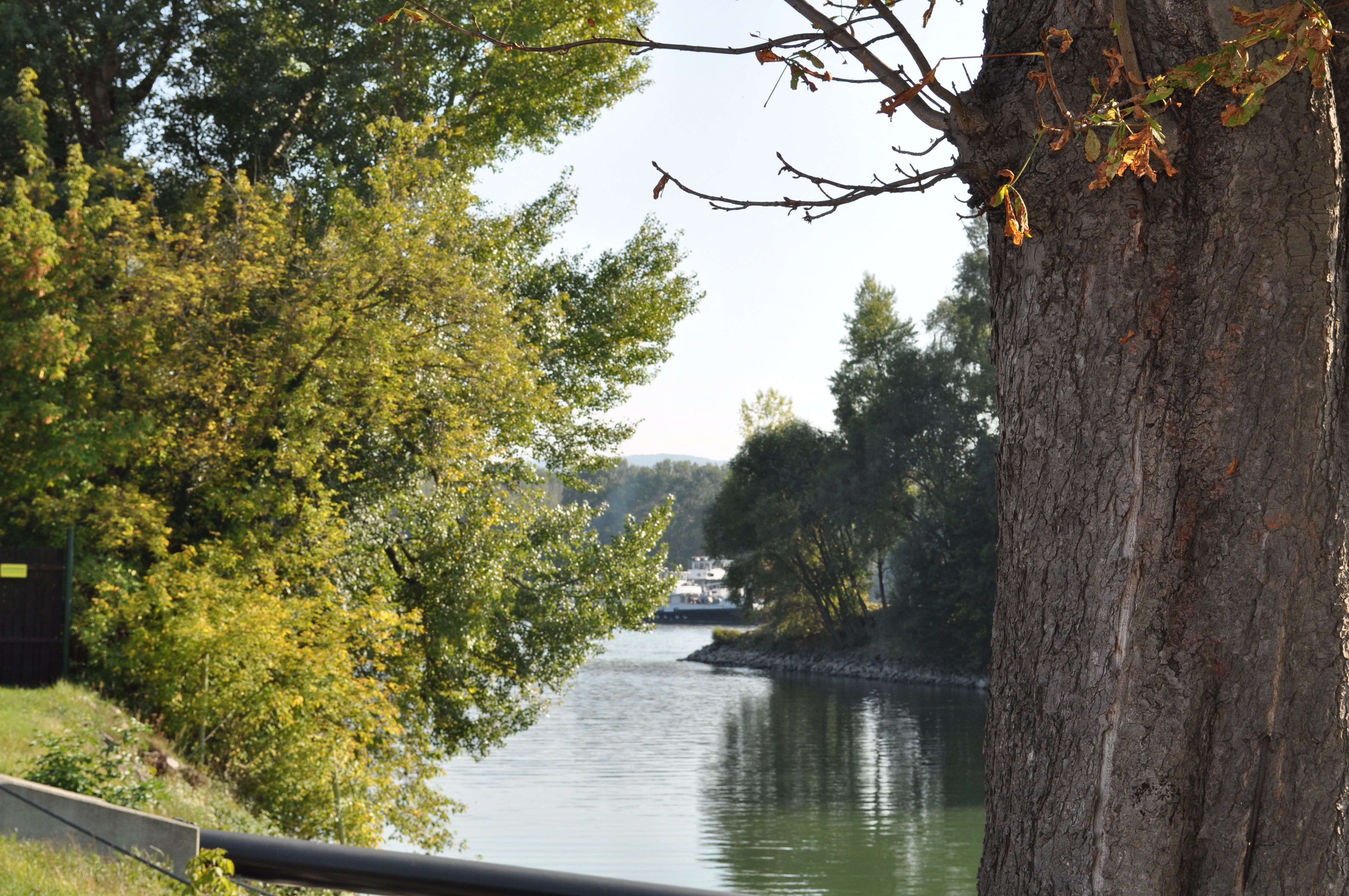 Fluss mit Bäumen und einem Schiff im Hintergrund.