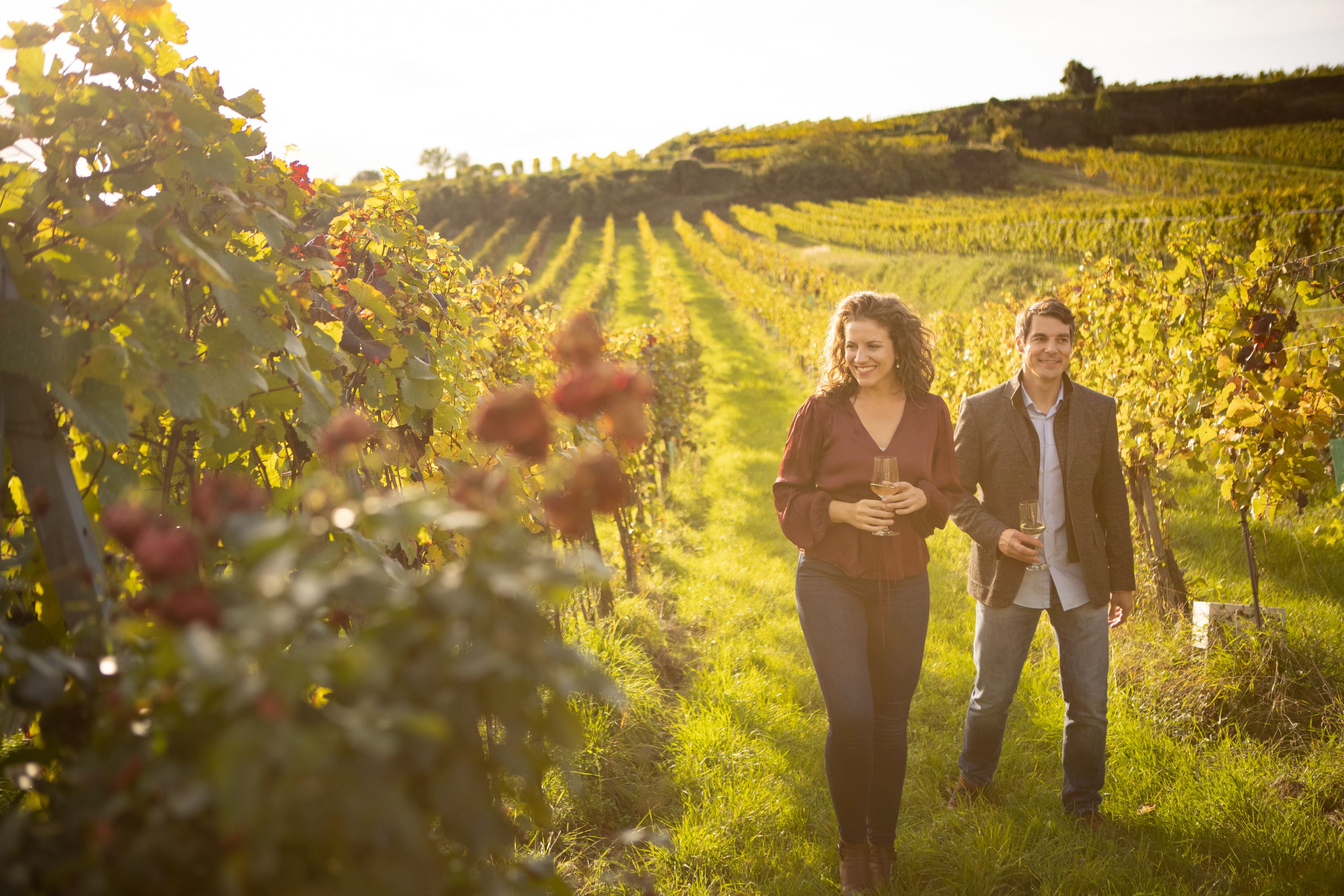 Zwei Personen gehen bei warmem Abendlicht durch einen Weinberg, umgeben von Reben, die tief stehende Sonne taucht die Landschaft in goldenes Lich