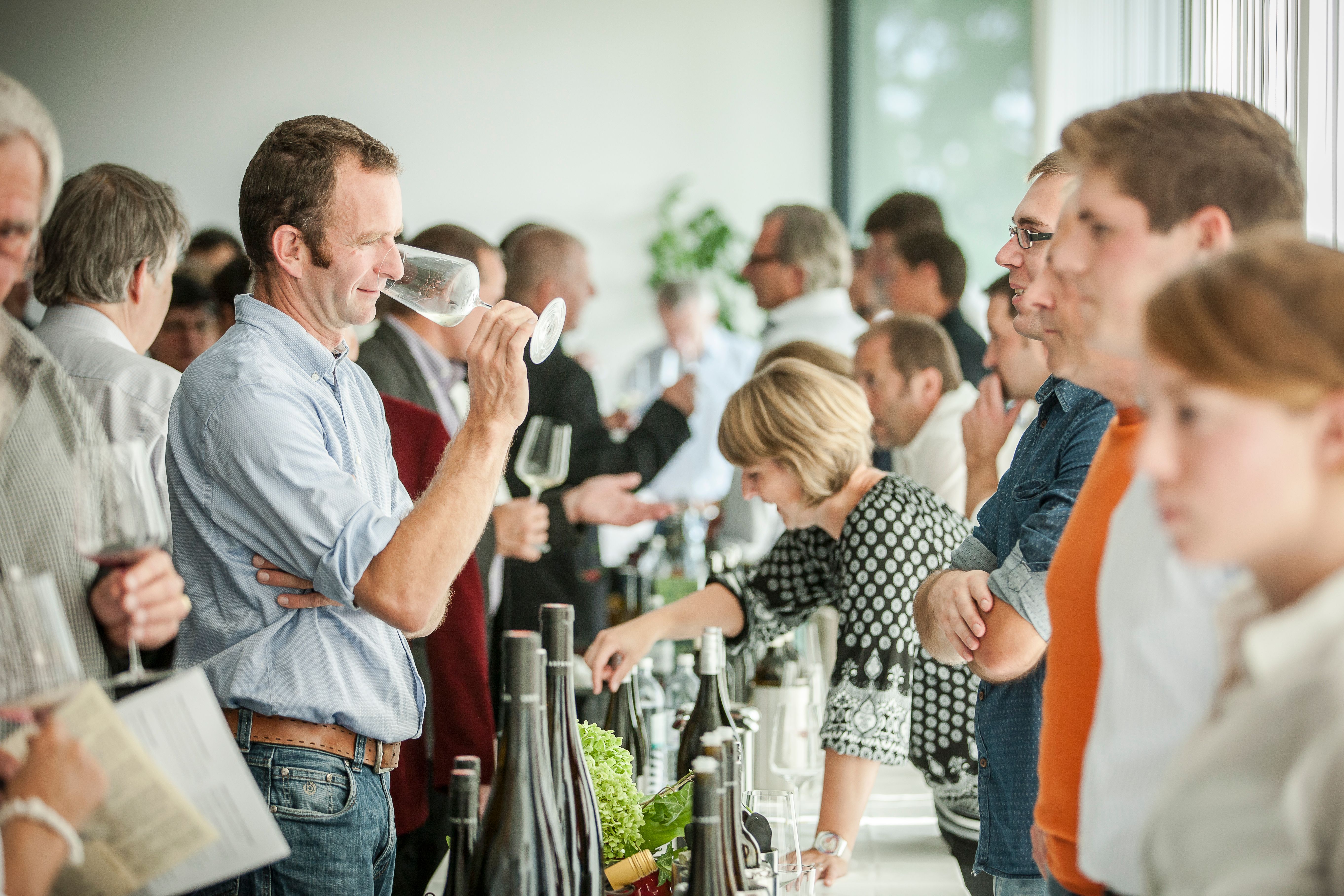 Leute beim Wein verkosten