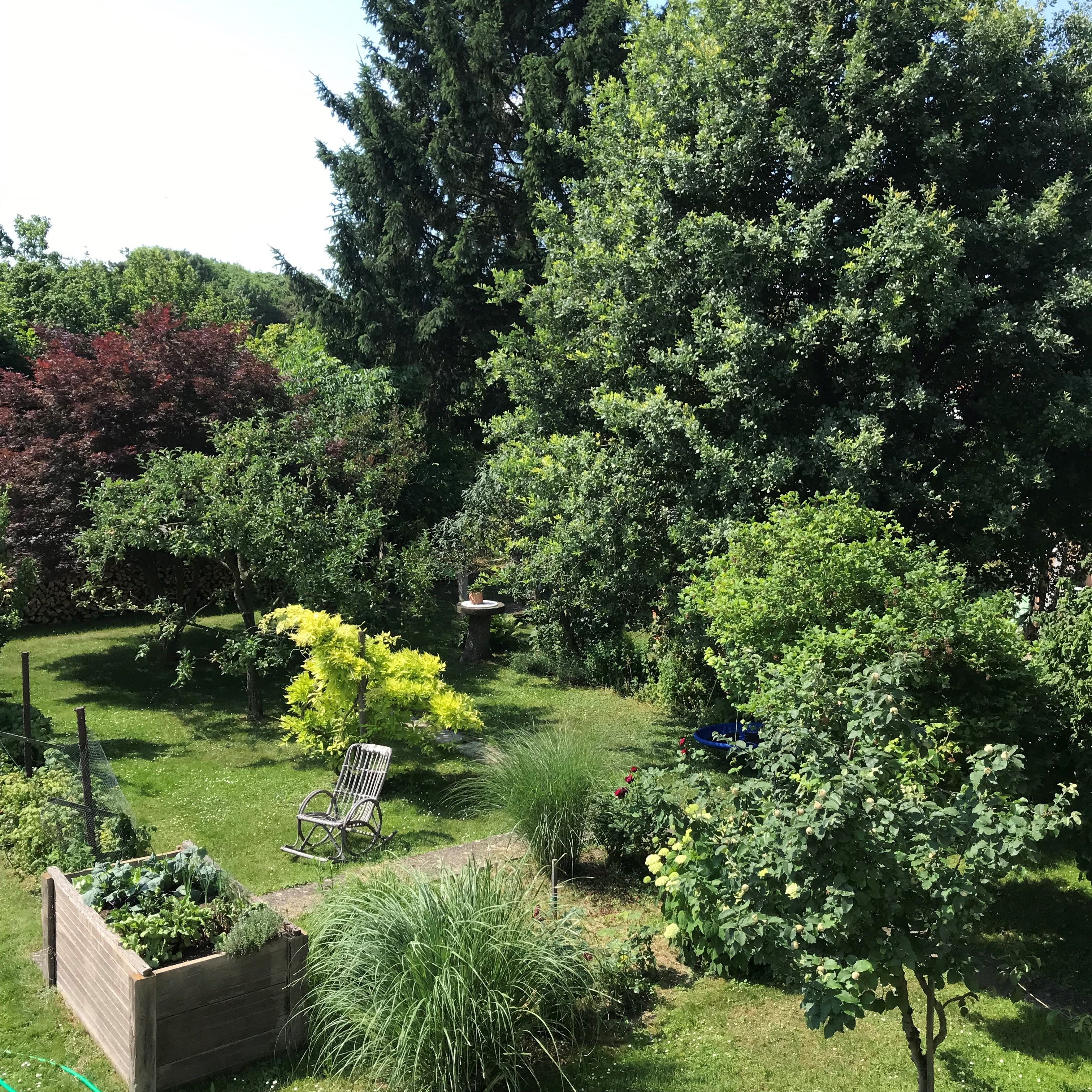 Ein grüner Garten mit Bäumen, Sträuchern, einem Hochbeet und einem Holzstuhl.