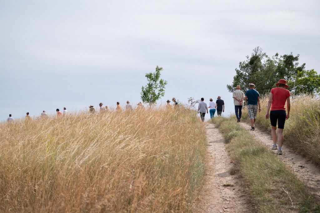 Wandern am Weingut Wadenthal
