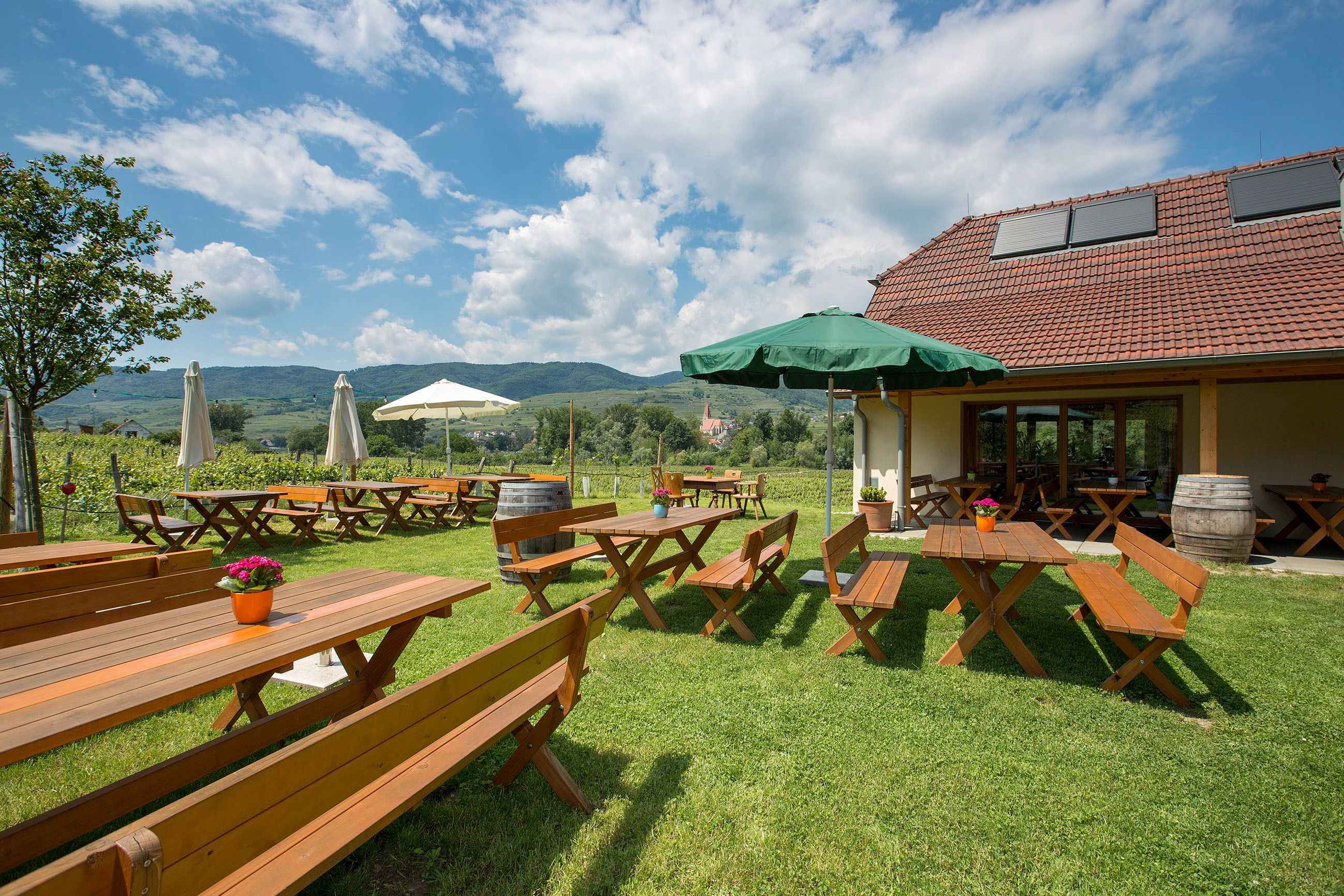 Heurigenbänke auf der grünen Wiese