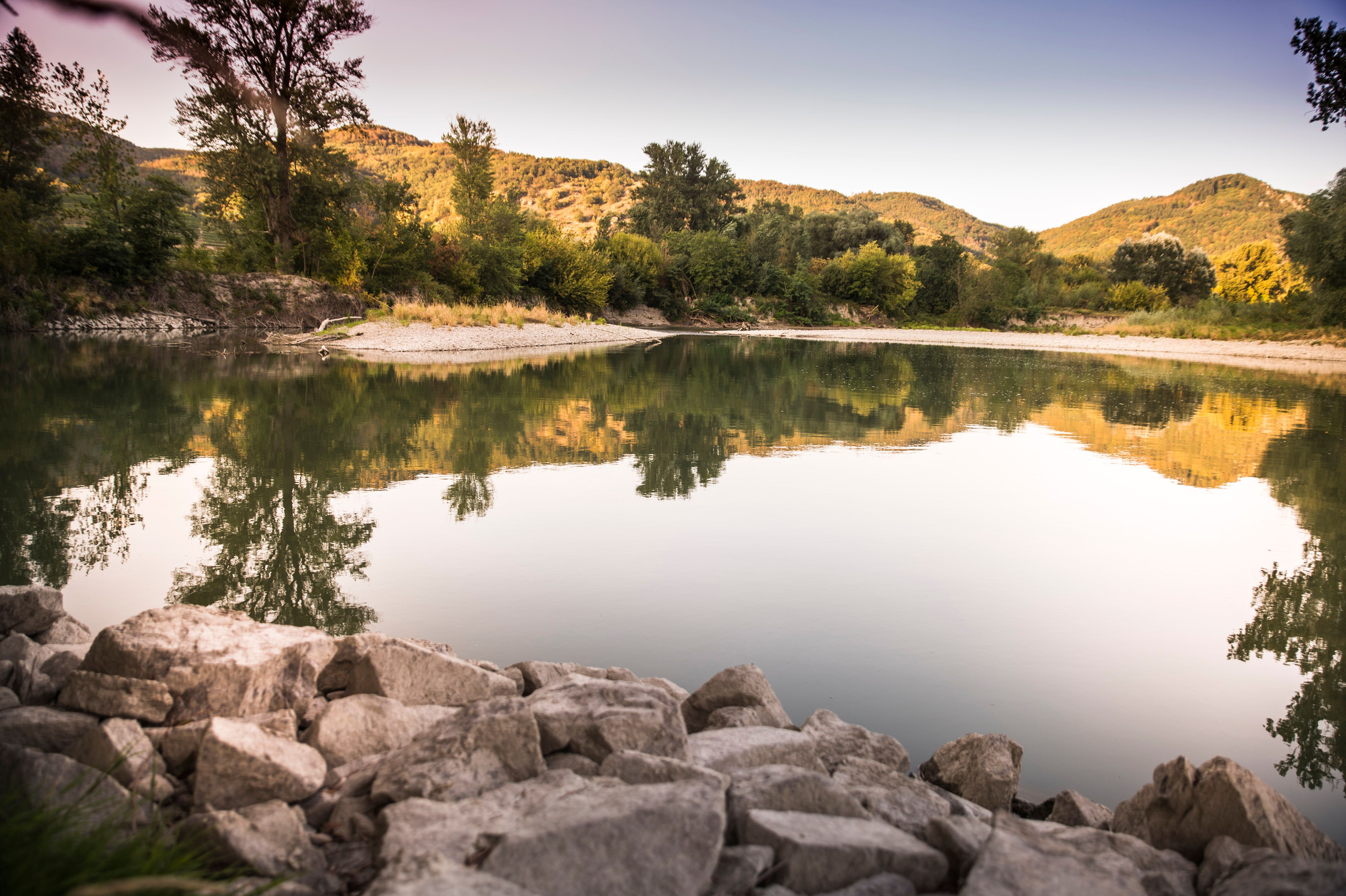 Flusslandschaft mit Bäumen und Bergen im Hintergrund, ruhiges Wasser und Steine im Vordergrund.