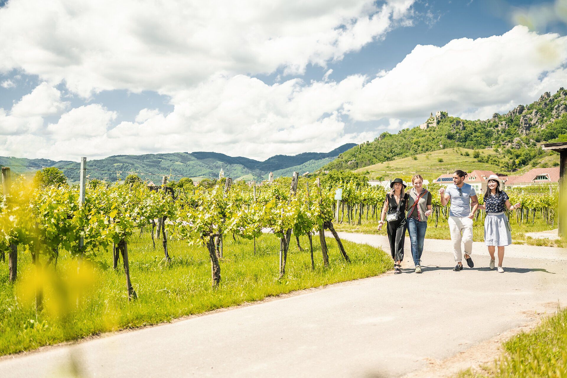Drei Mädls und ein junger Mann spazieren am Treppelweg zwischen Weinrieden.