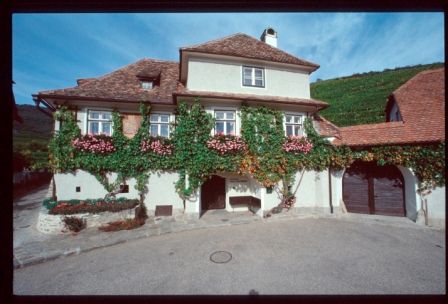 Traditionelles Gebäude mit Weinreben und Blumen geschmückt.