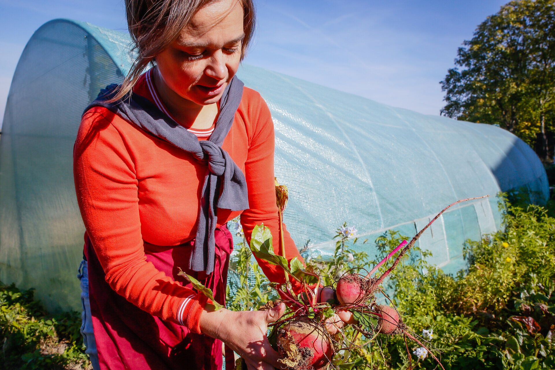 Inmitten der sanften Hügel und üppigen Gärten wird die Freude am Ernten lebendig. Eine leidenschaftliche Gärtnerin hält stolz frische Rüben in den Händen, während die Sonne den klaren Himmel erleuchtet. Hier, wo Natur und Genuss aufeinandertreffen, entfaltet sich das wahre Wesen des ländlichen Lebens.