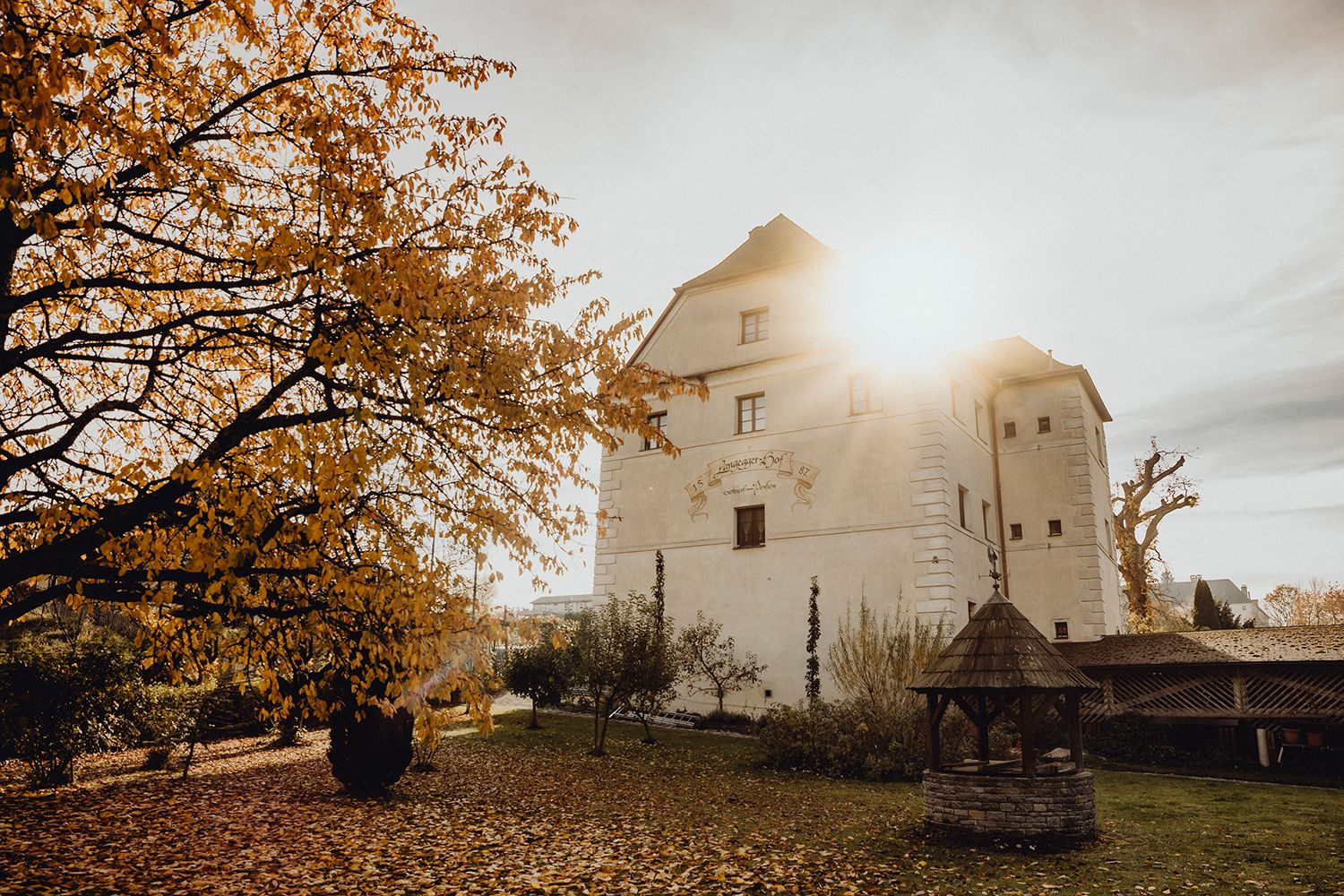 Herbstliche Szene mit historischem Gebäude und Baum im Sonnenlicht.