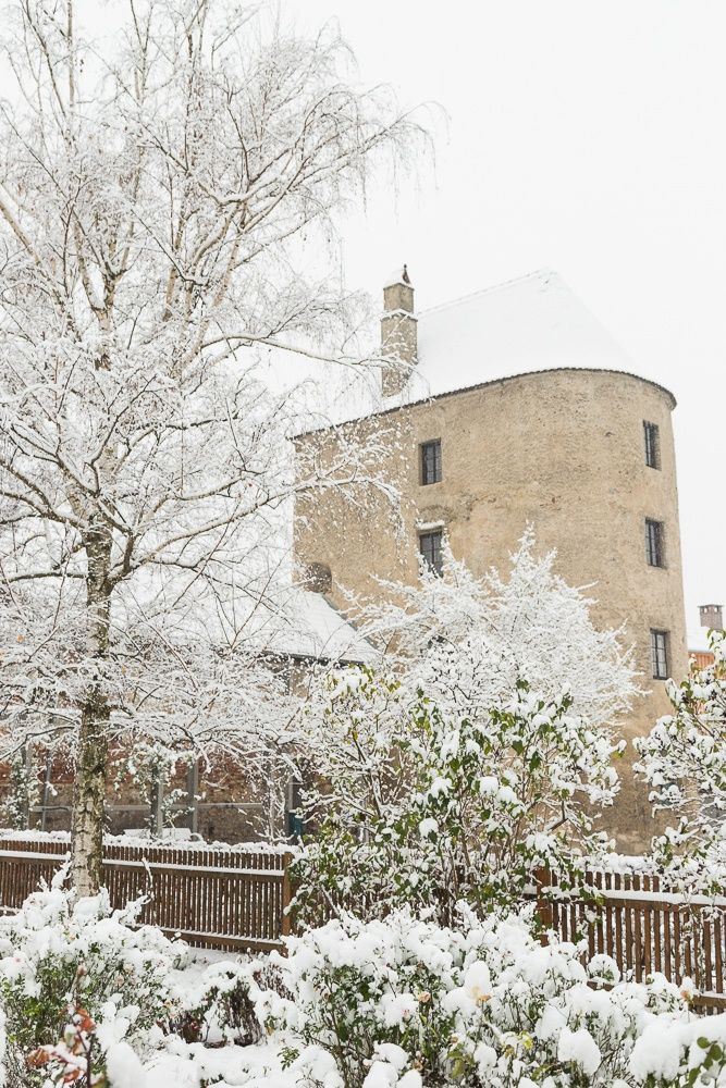 Ein verschneiter Turm in Traismauer, umgeben von schneebedeckten Bäumen und einem Holzzaun.