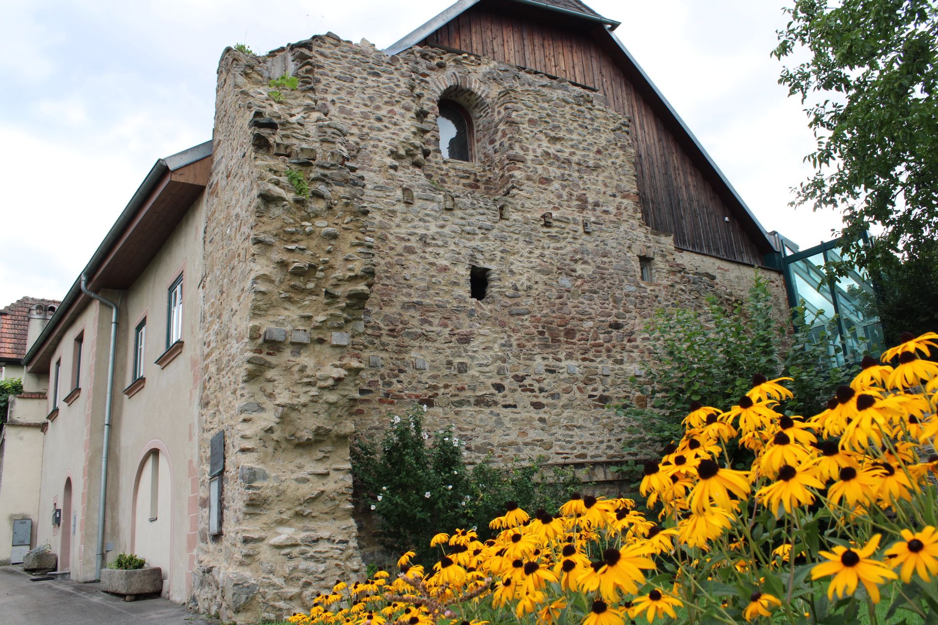 Alte Steinmauer mit gelben Blumen im Vordergrund.
