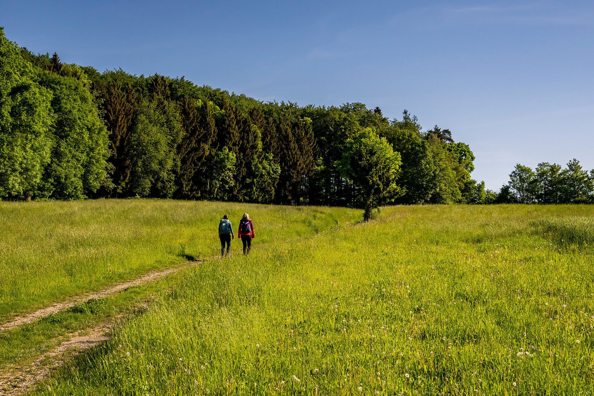 Zwei Wanderer genießen die frische Sommerluft auf einem malerischen Pfad, umgeben von üppigem Grün und sanften Hügeln. Die Sonne strahlt am klaren Himmel und lädt dazu ein, die Schönheit der Natur zu erkunden und die Seele baumeln zu lassen.