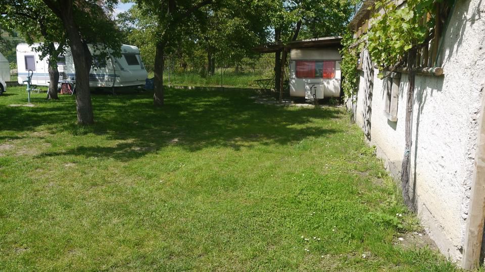 Campingplatz mit Wohnwagen unter Bäumen, neben einem Gebäude mit Weinreben.