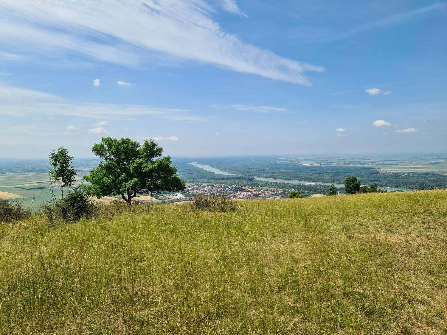 Aussicht vom Hundsheimer Berg mit Blick auf ein Tal, Bäume und einen Fluss.