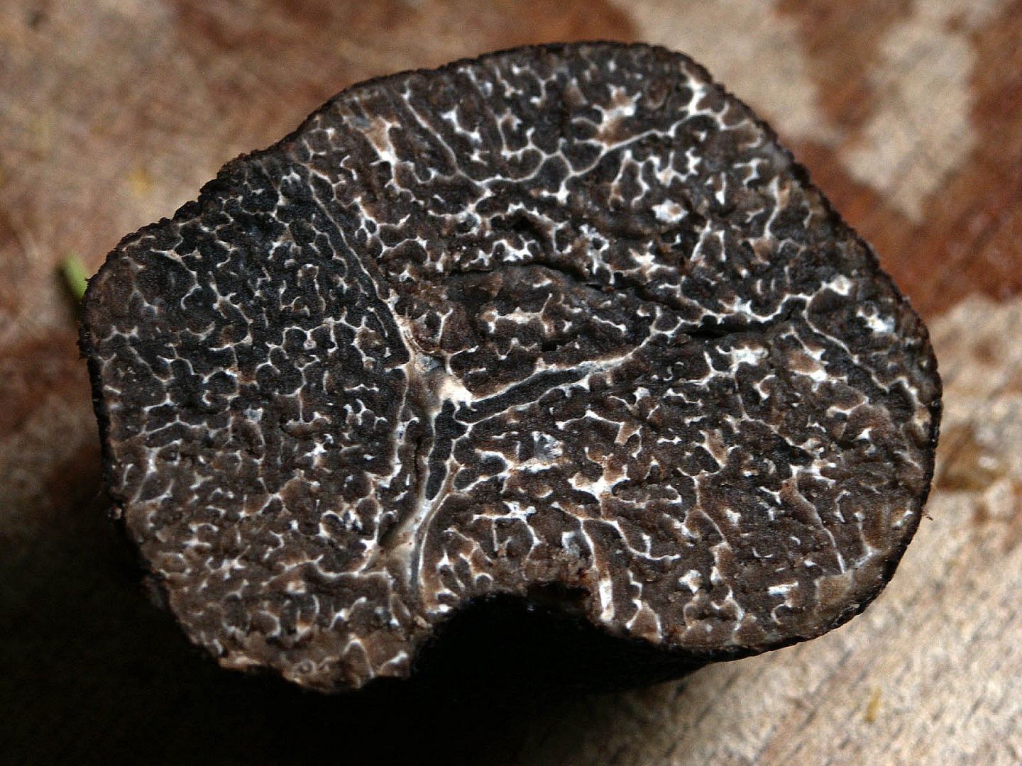 schwarzer Trüffel