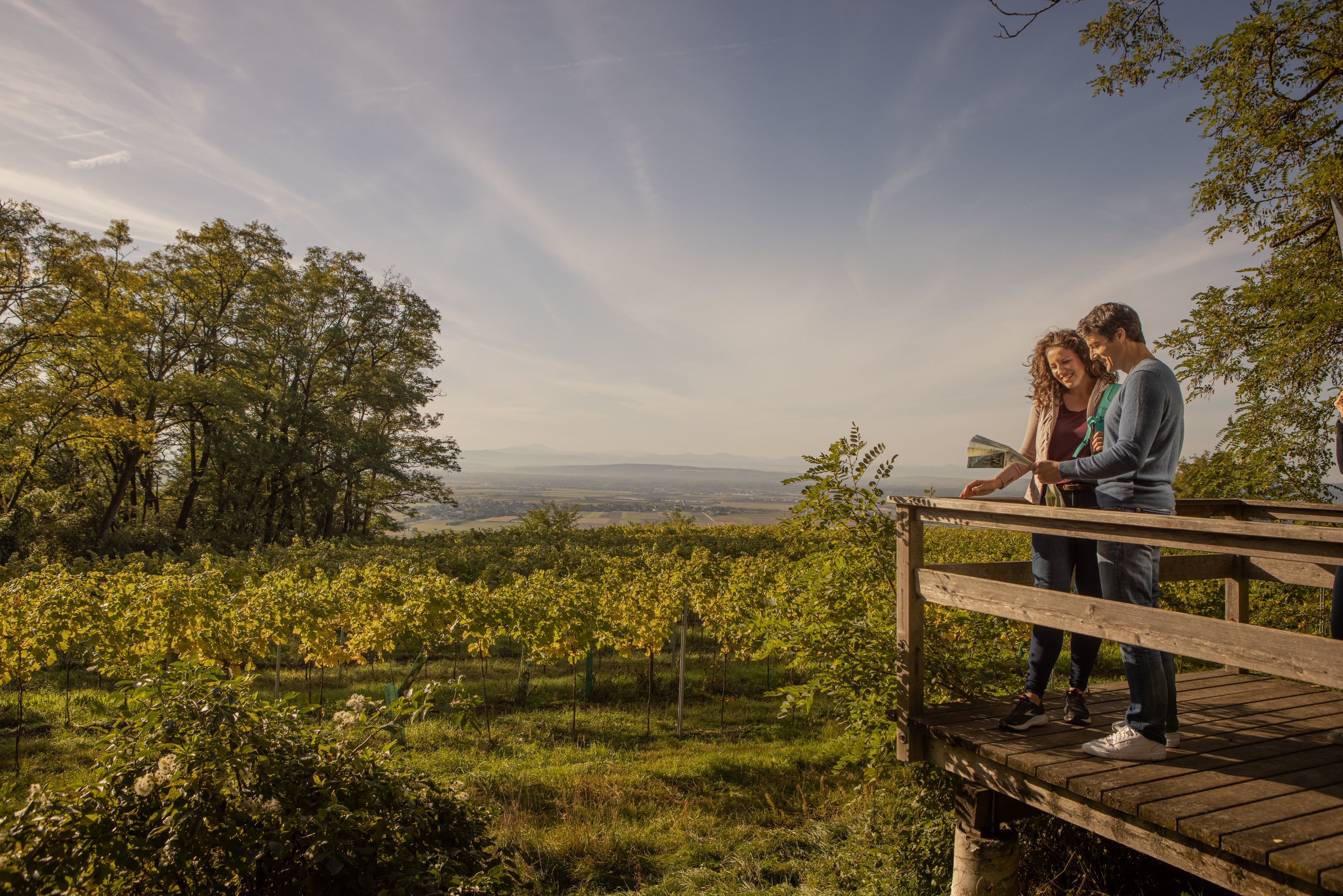 Ausblick über die Wagramer Weingärten von einer Holzplattform, umgeben von Bäumen, mit Blick auf die weitläufige Landschaft und den Himmel am Horizont.