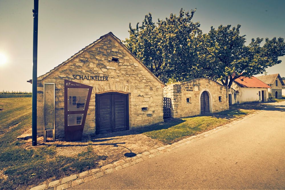 Informační tabule a ukázkový sklep na zážitkové vinařské stezce Höflein